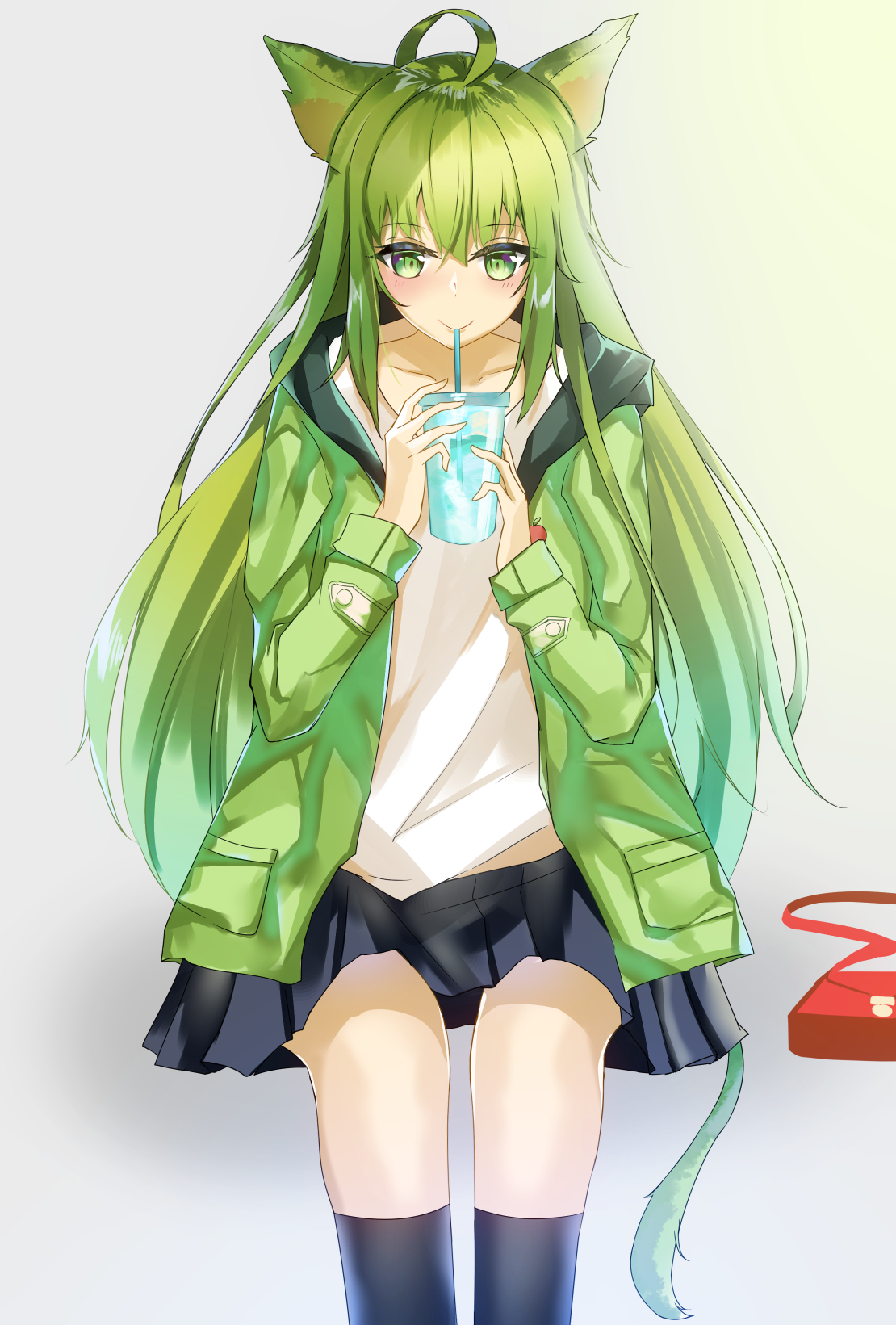 Fate Series FGO Fate Apocrypha Anime Girls 2D Vertical Long Hair Multi Colored Hair Green Hair Looki 1110x1641