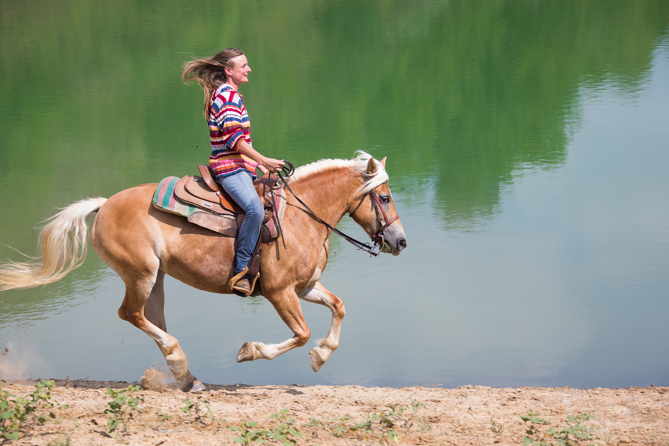 Photography Horse Riding 2250x1500