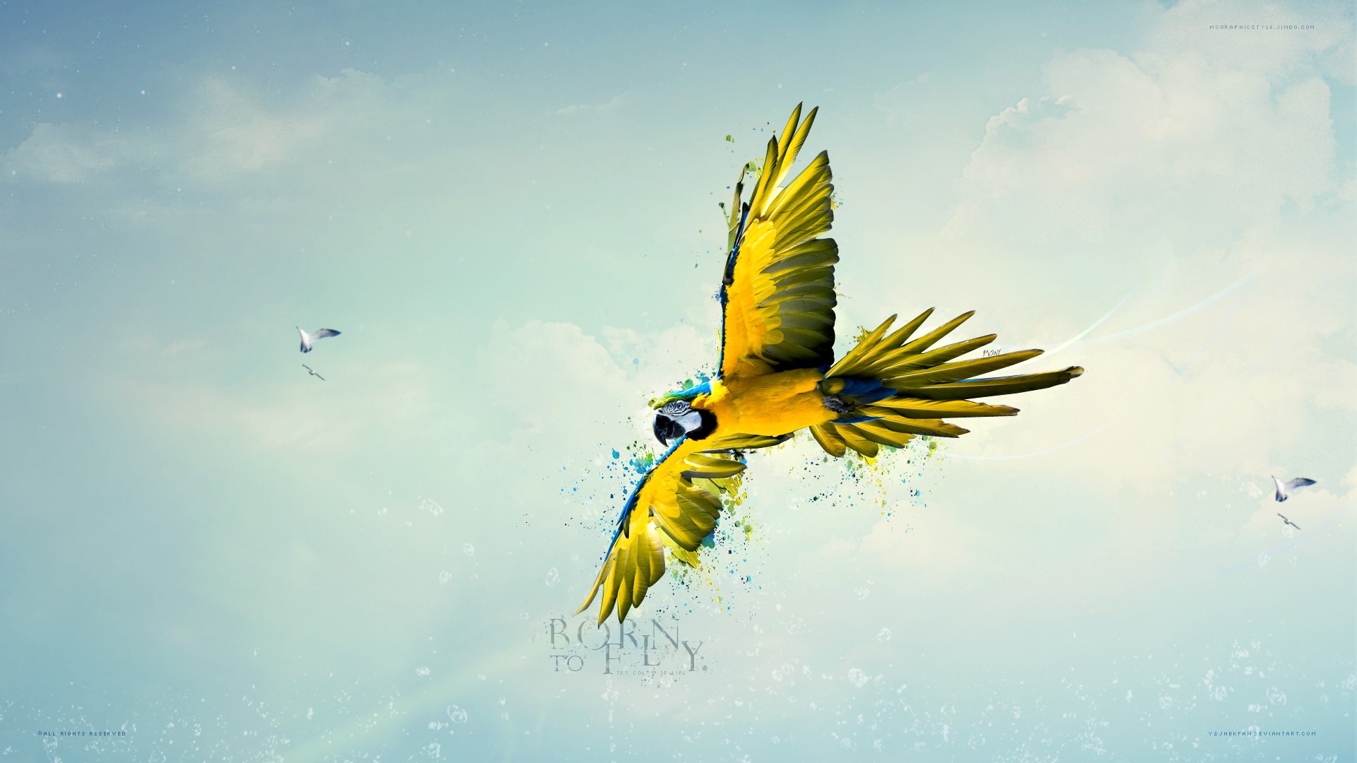 Macaws Birds Sky Parrot Flying Paint Splatter 1920x1080