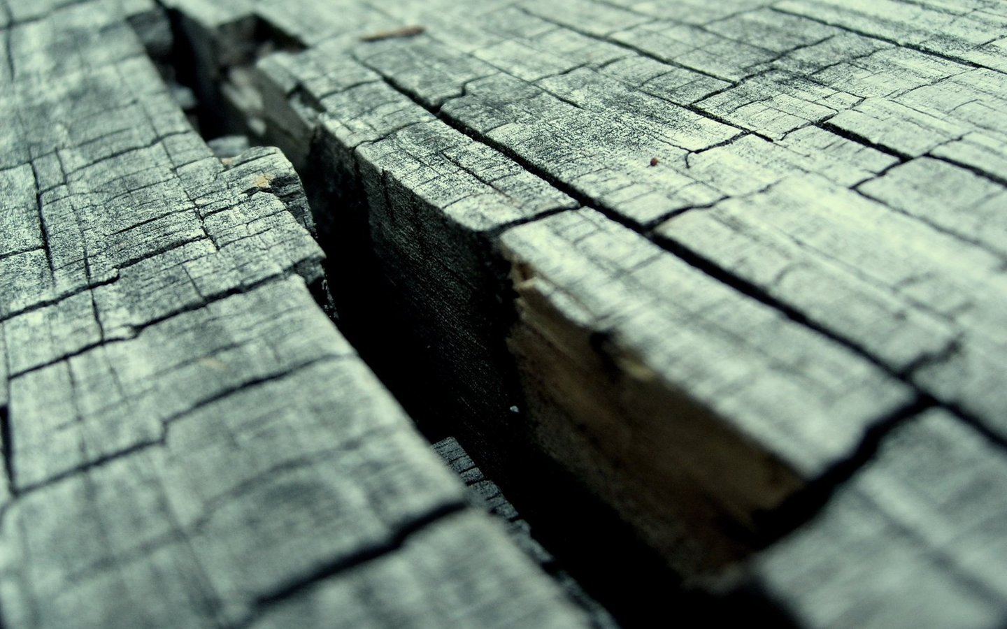 Wood Cracked Texture 1440x900