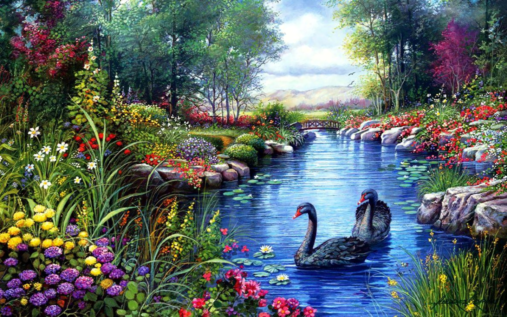 Spring Lake Swan Black Swan Flower Pond 1920x1200