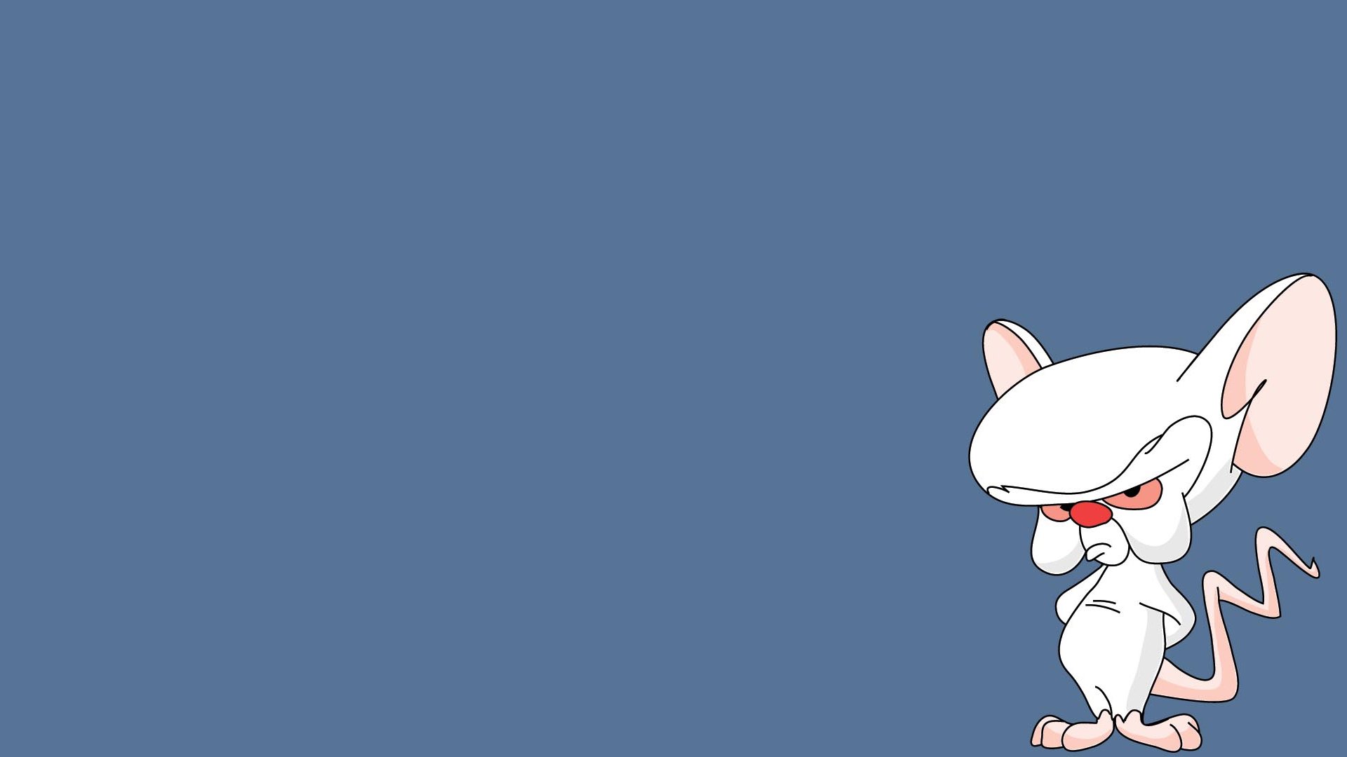 TV Show Pinky And The Brain 1920x1080