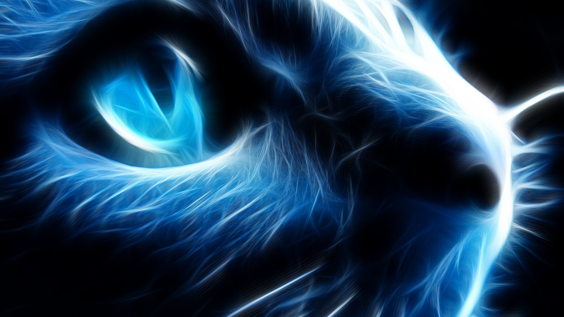 Fractalius Animals Blue Cyan 1920x1080