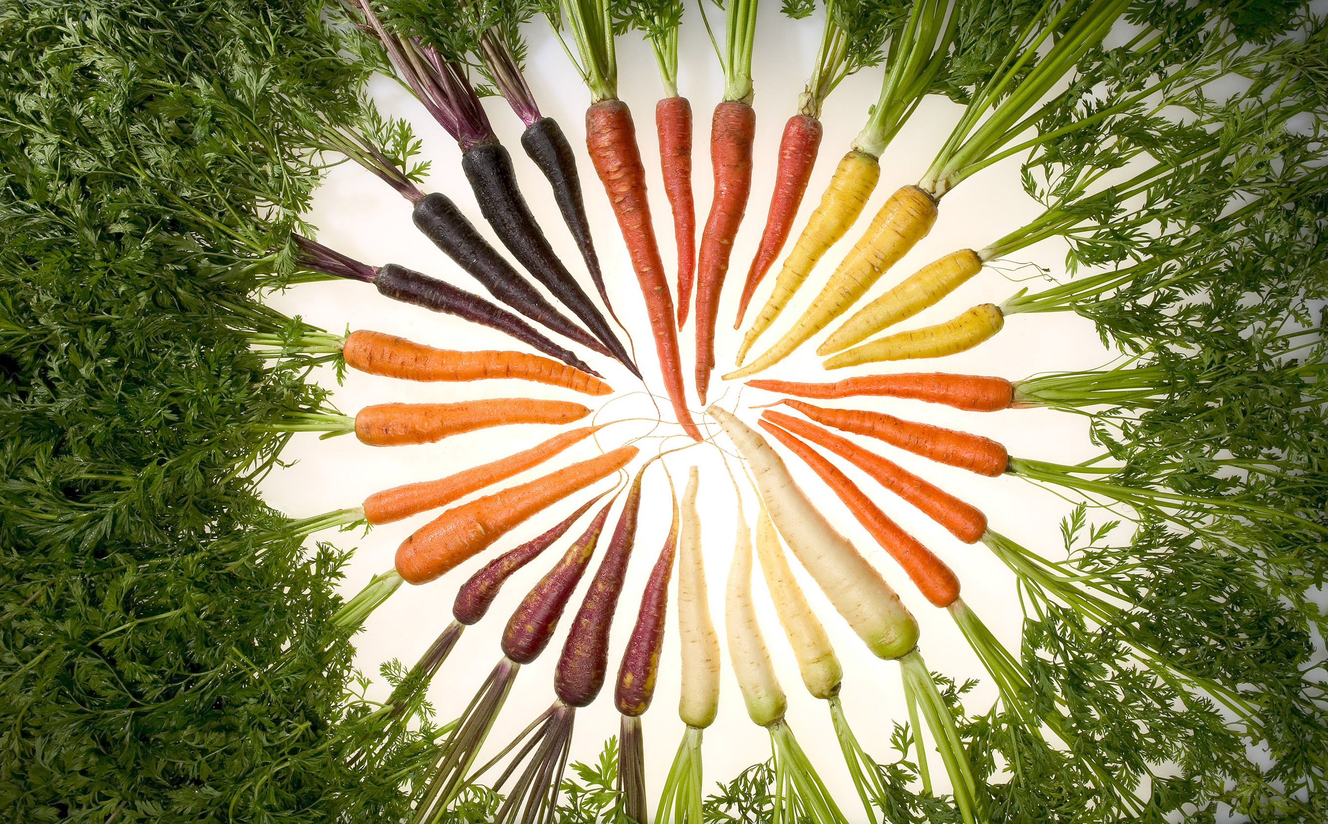 Carrot Vegetable 2700x1675