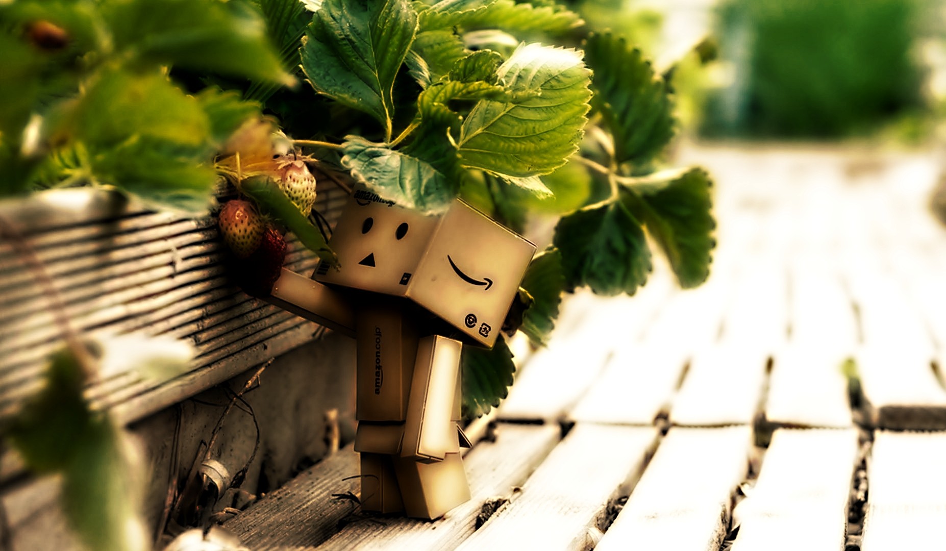 Danbo Carton Box Leaves 1854x1080