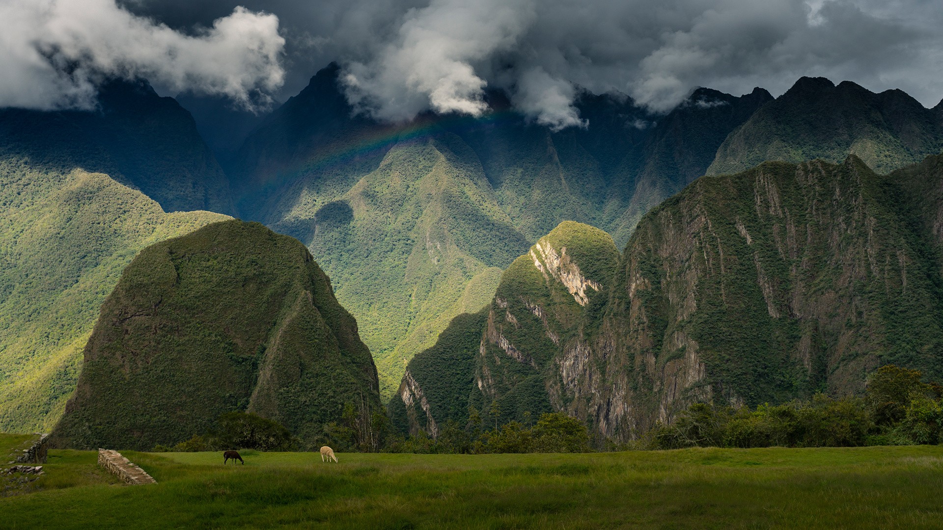 Nature Landscape Trees Clouds Hills Peru Mountains Field Forest Animals Rainbows Mist Rainforest And 1920x1080