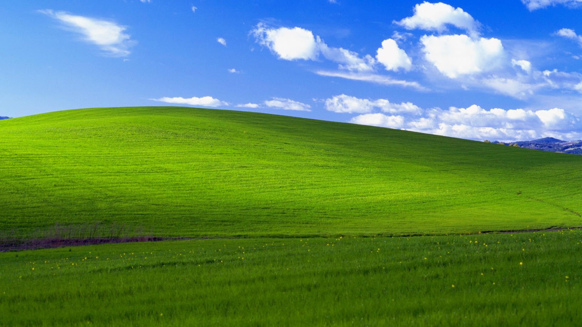 Grass Bliss Windows XP Landscape California 1920x1080