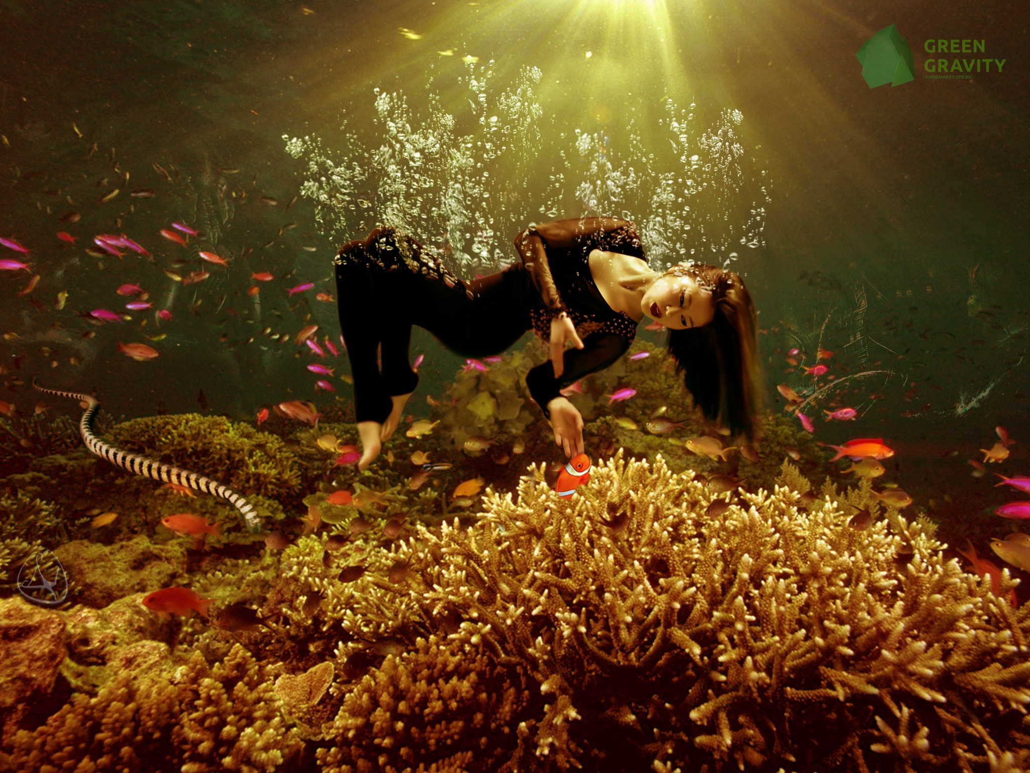 Nikolas Verano Animals Plants Women Bubbles Underwater 500px Fish 2048x1536
