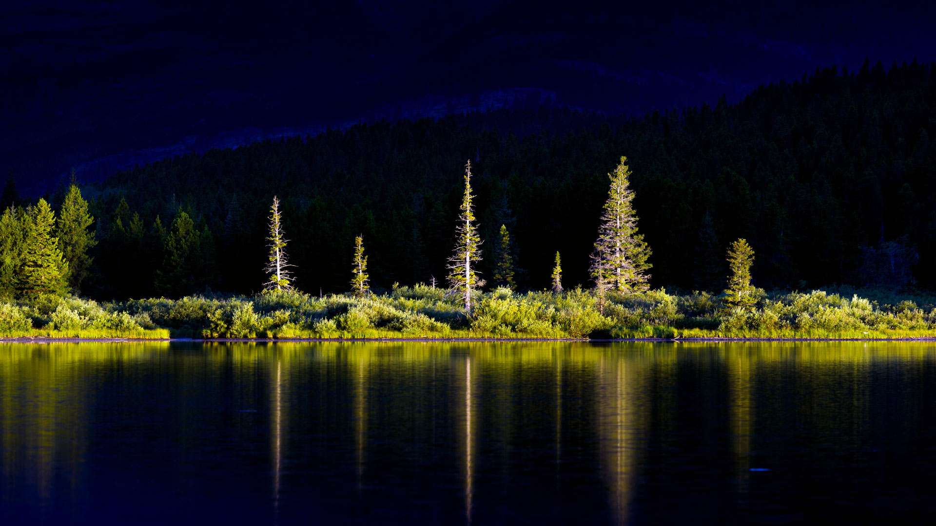 Trees Sunlight Water Water Ripples Mountains Plants Forest Swiftcurrent Lake Glacier National Park M 1920x1080