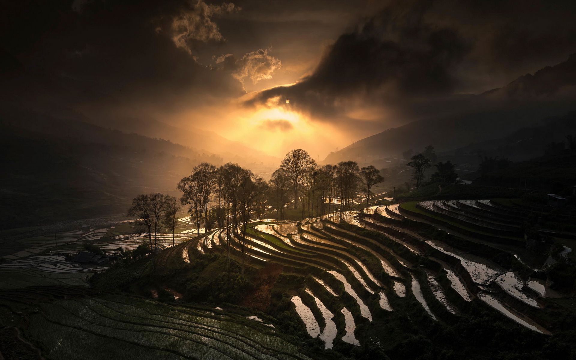 Man Made Rice Terrace 1920x1200