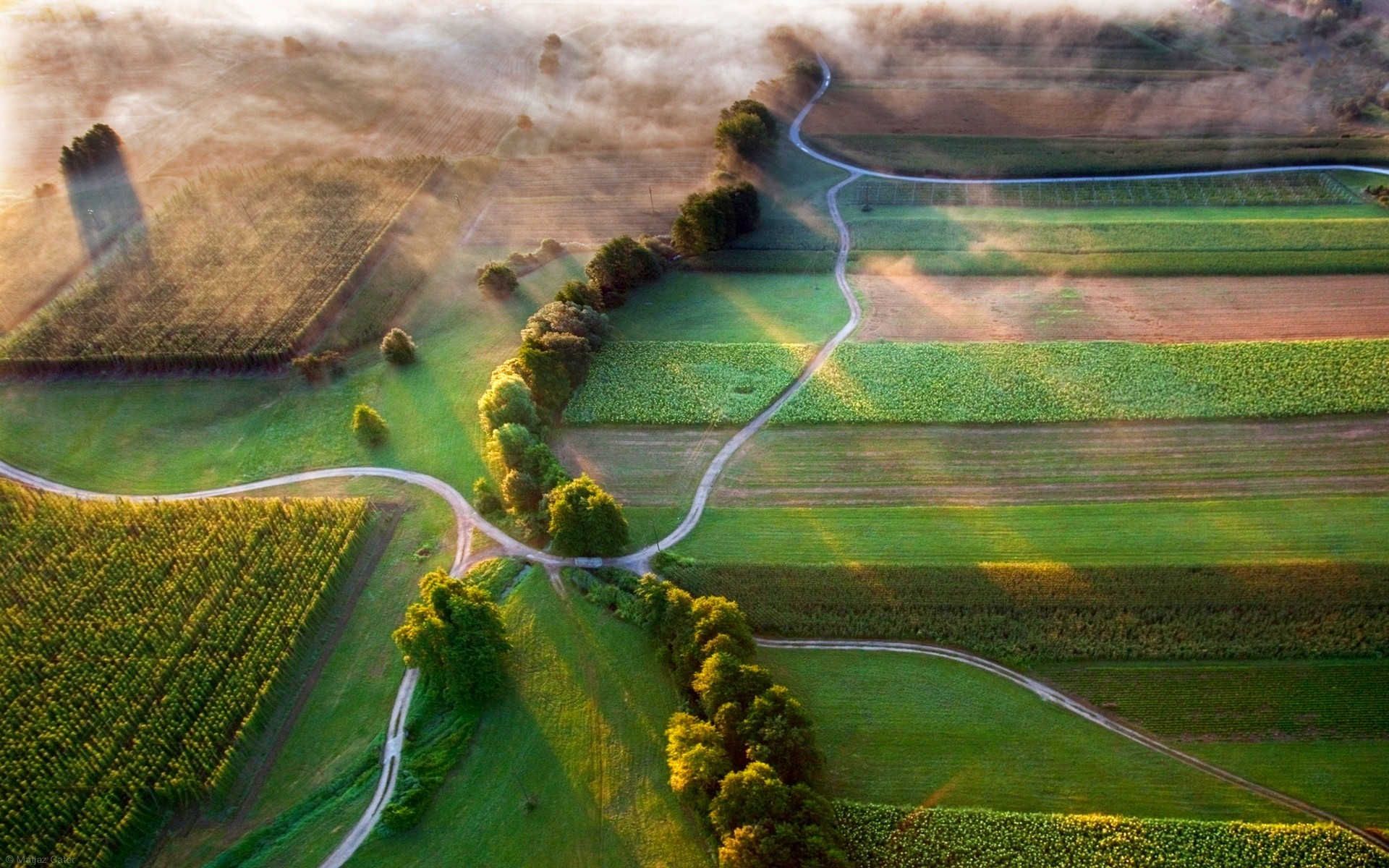 Nature Landscape Mist Field Aerial View Slovenia Farm Road Trees Sunlight Dirtroad Green Crops 1920x1200