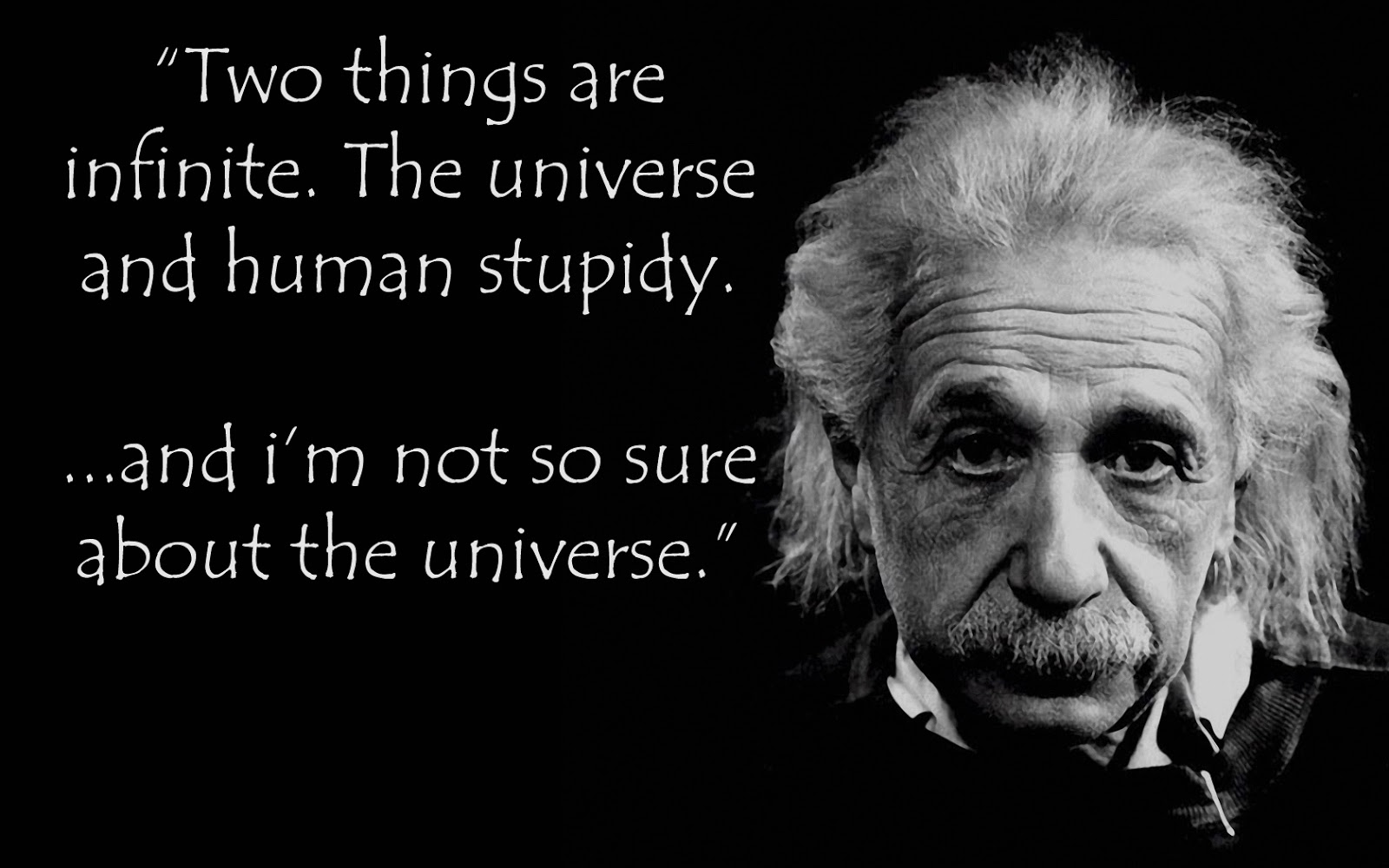 Albert Einstein Quote Celebrity 1600x1000