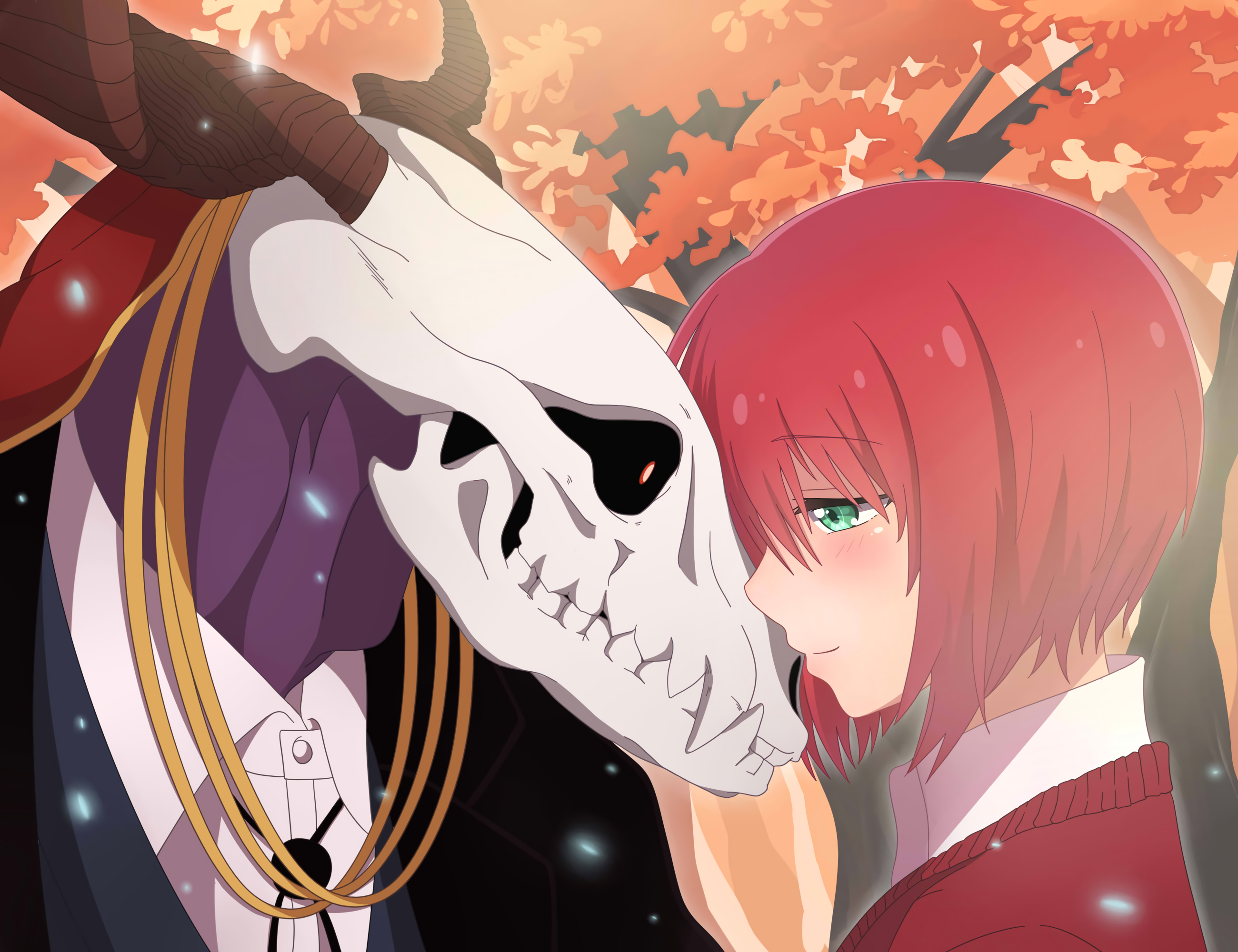 Anime The Ancient Magus Bride 2600x2000