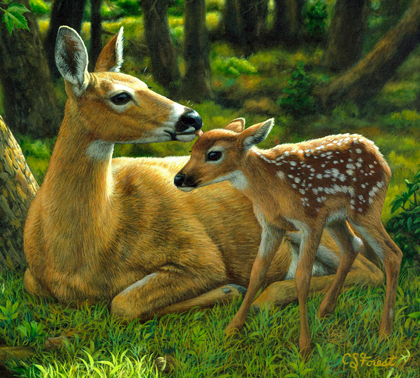 Animal Deer Fawn Forest Painting 1440x1296