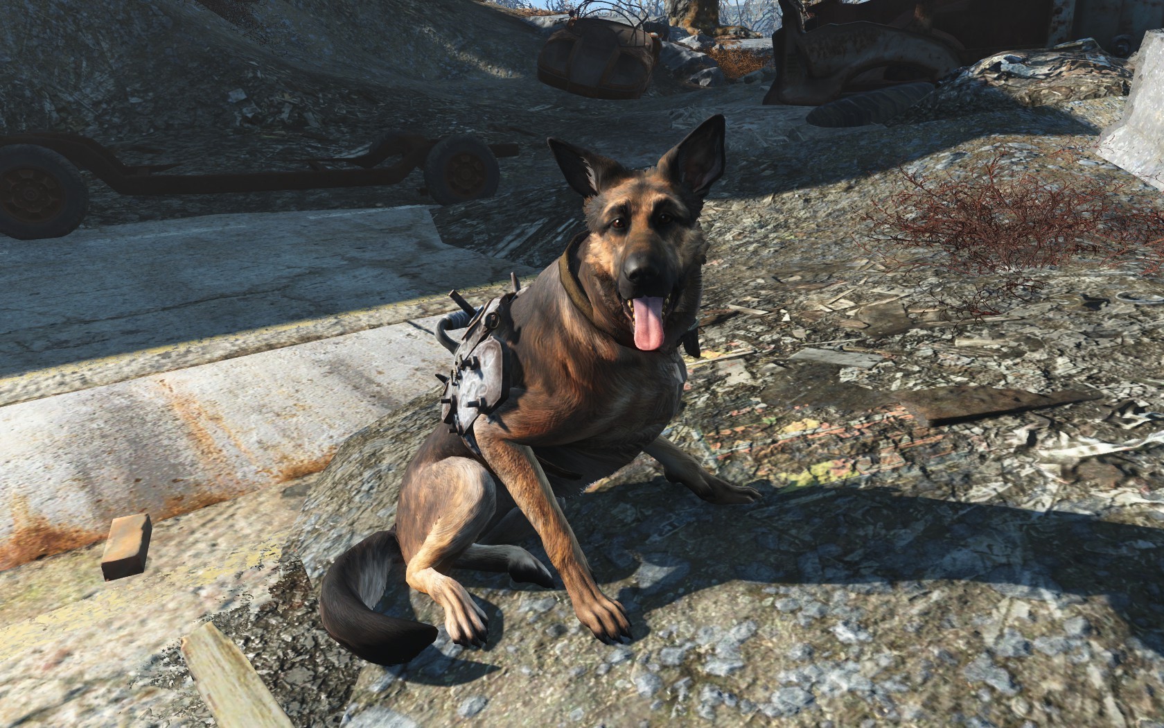 Dogmeat Video Games Fallout 1680x1050