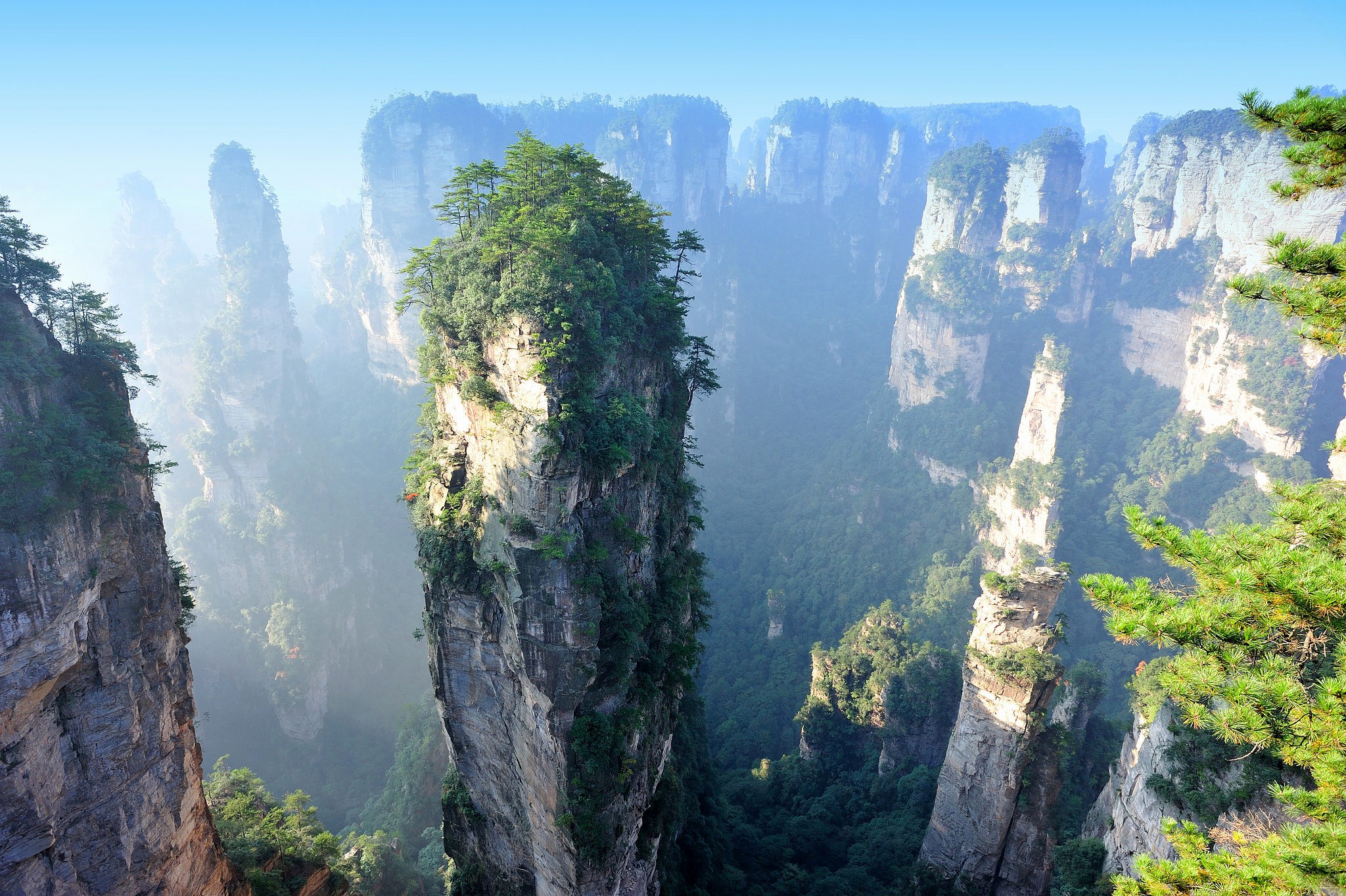Nature Cliff Landscape China Plants Zhangjiajie National Park 2048x1363