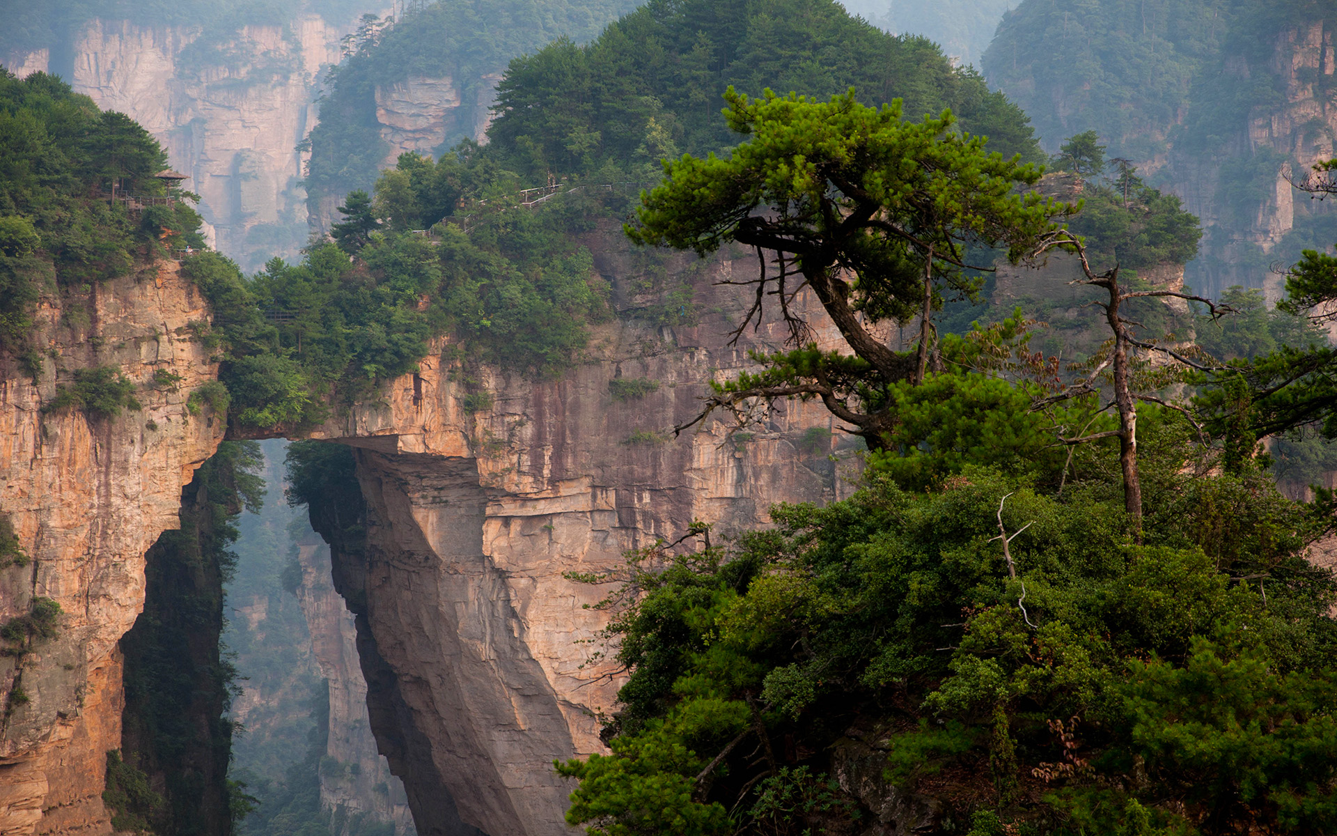 Earth Landscape Zhangjiajie National Park China Rock Mountain Tree 1920x1200