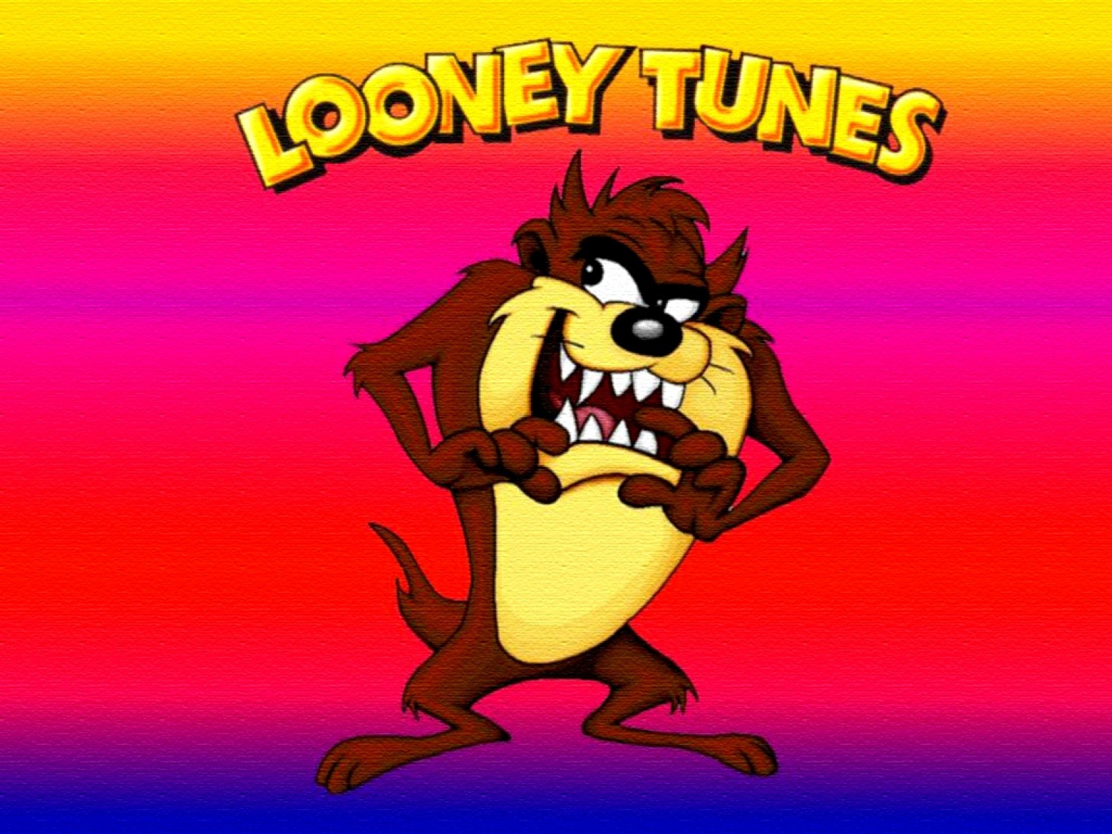 Tasmanian Devil Looney Tunes 1600x1200