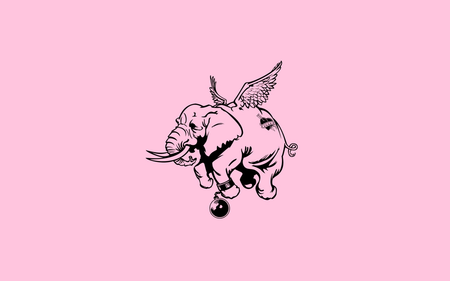 Love Humor Elephant Minimalism Pink Background Wings Animals Pink 1440x900