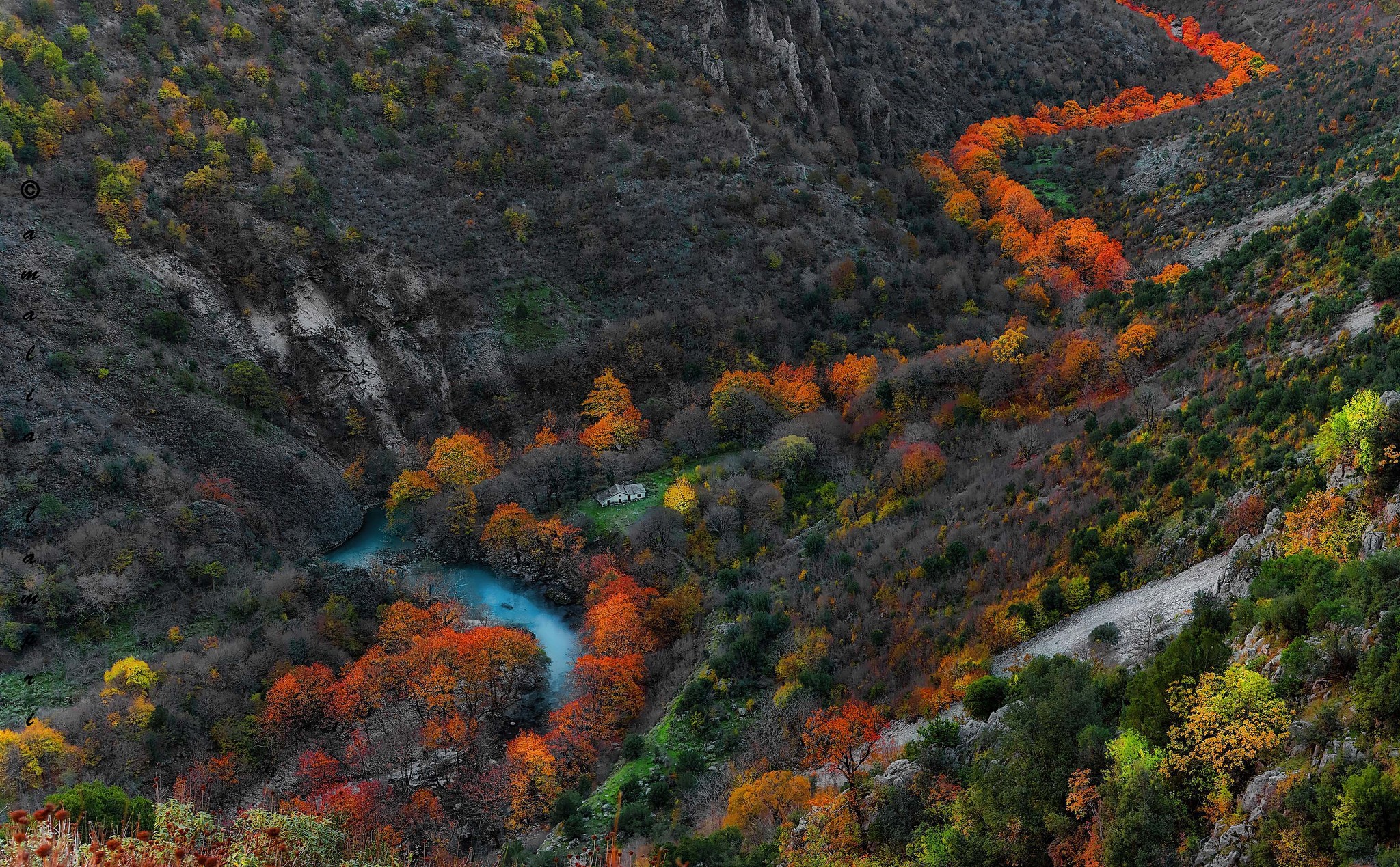 Mountains River Nature Fall Gorge Trees Landscape Orange Yellow Green Blue 2048x1269