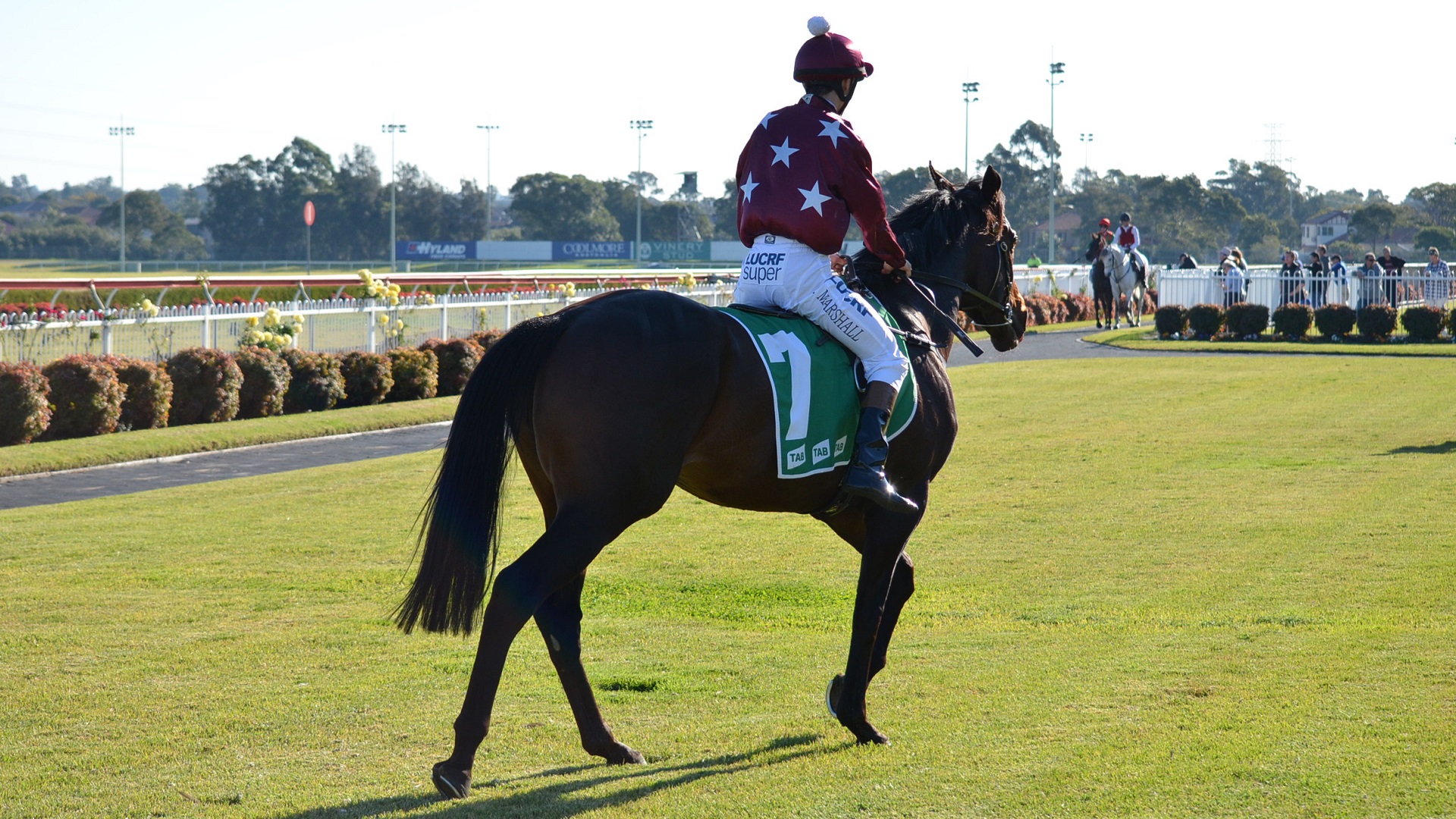 Horse Animal Jockey Race Sydney Races Horse Racing 1920x1080