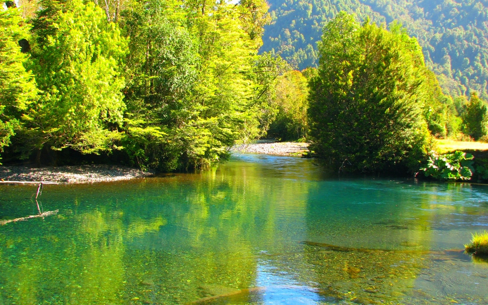 Landscape Nature Chile River Forest Emerald Water Mountains Trees Green Without People 1920x1200