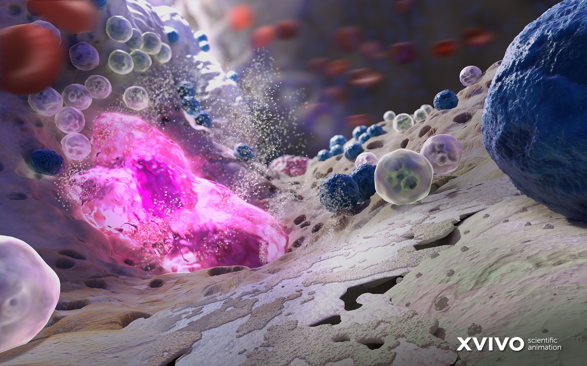 Digital Art Macro Closeup Bacteria Viruses Biology Science XViVO CGi Depth Of Field Animation Bones 1920x1200