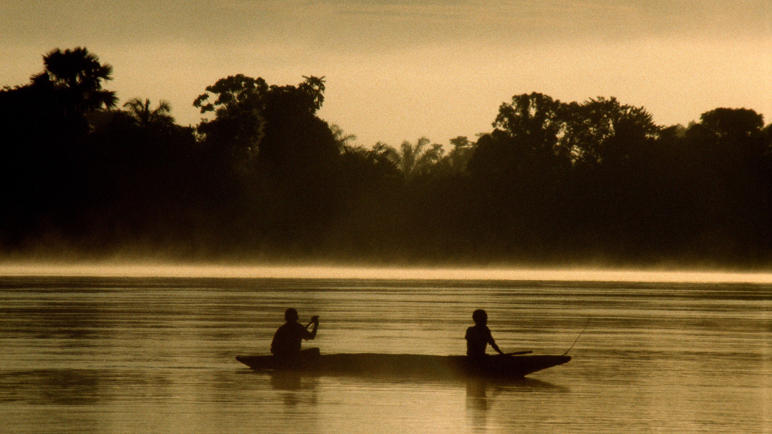 River Jungle Silhouette Canoes 2560x1440