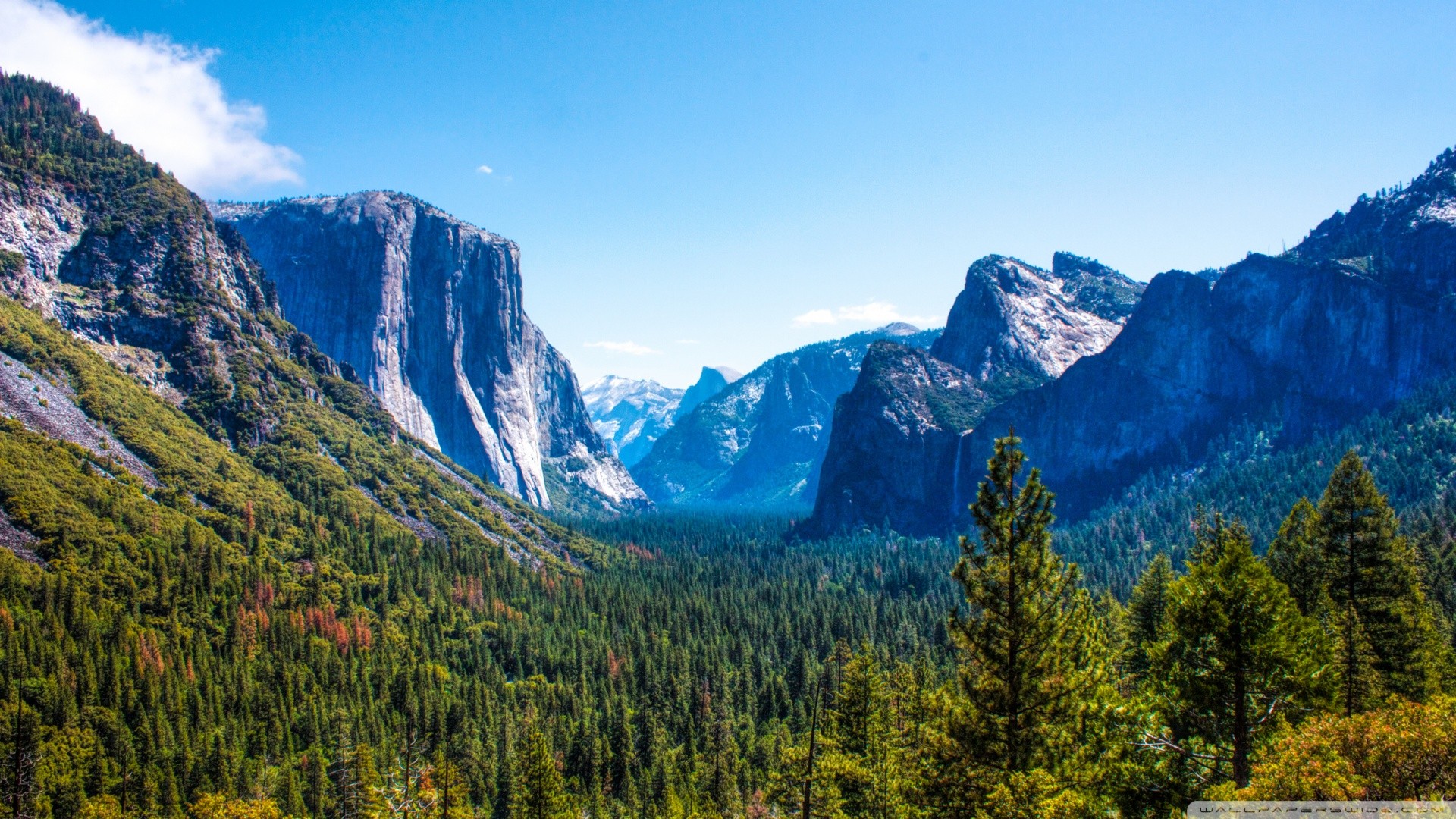 Mountains Yosemite Valley Yosemite National Park National Park Cliff Valley Forest 1920x1080