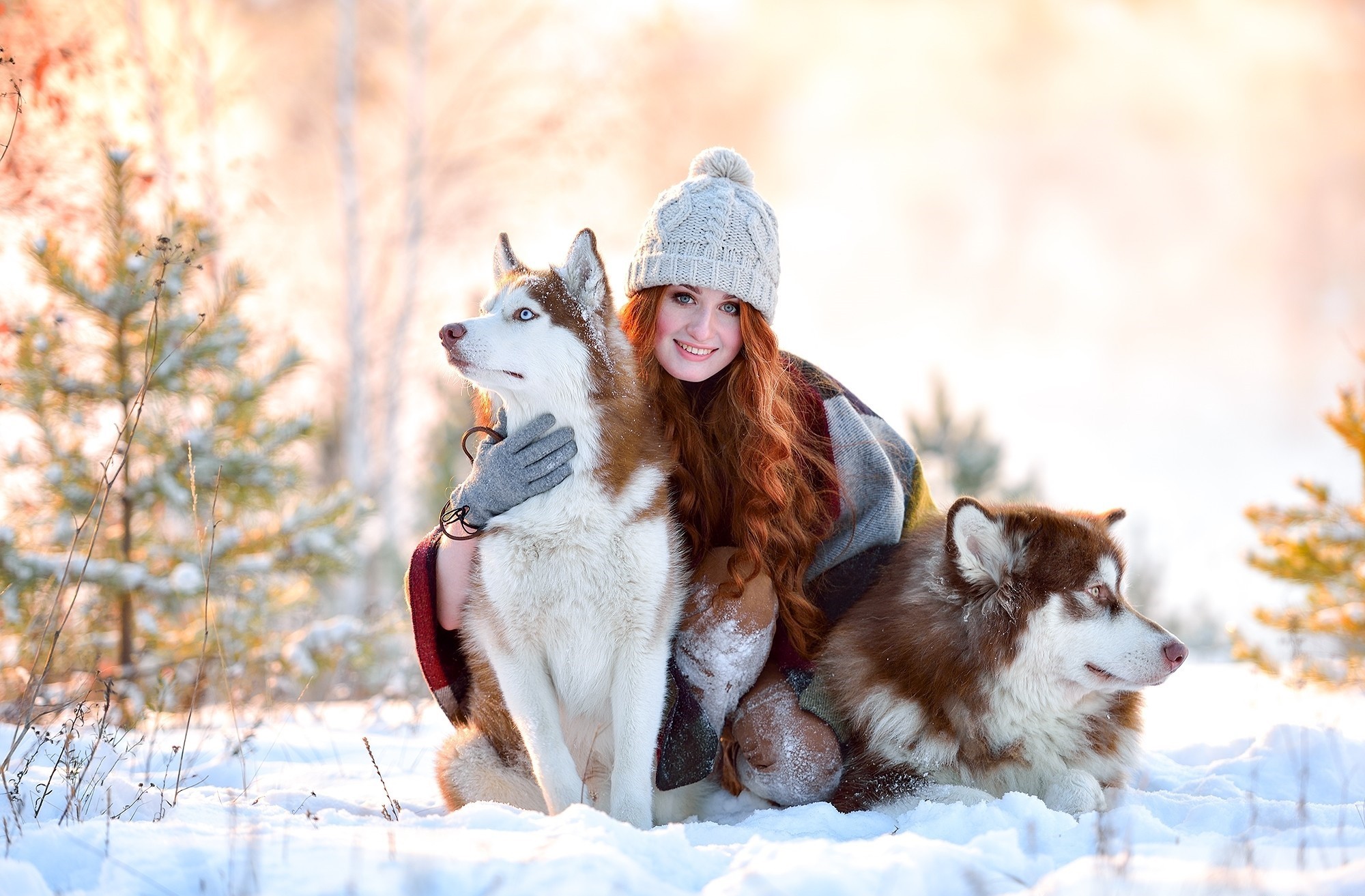 Winter Dog Model Animals Women Wool Cap Women With Dogs Snow Redhead White Cap 2000x1313