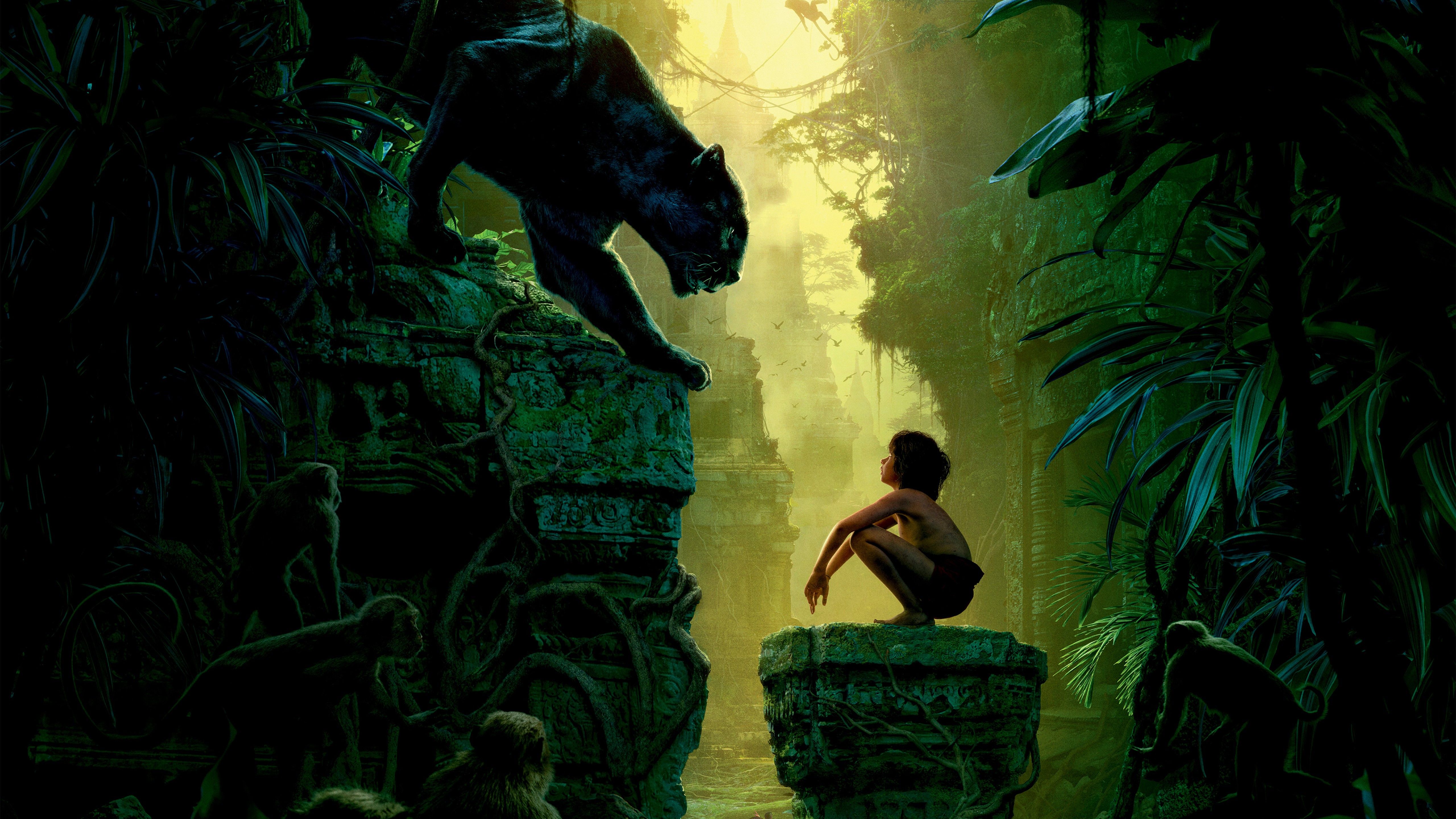 Mowgli Bagheera 5120x2880