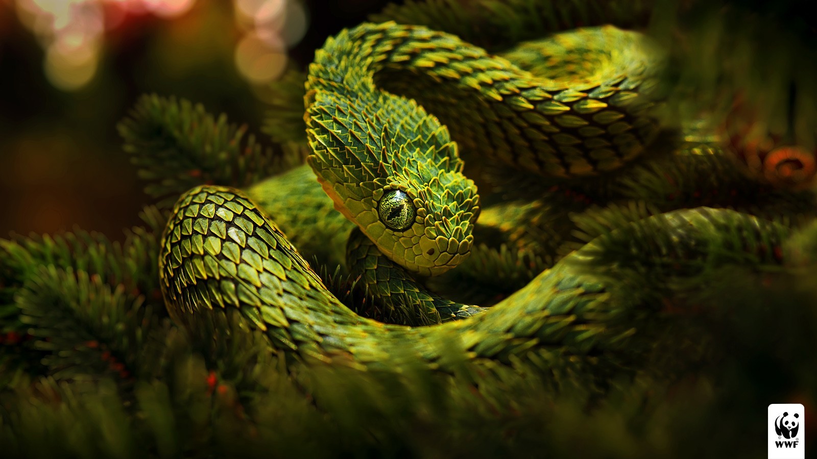 Reptiles Vipers Vipers Snake Reptiles Snake Green Lizard Scales Photo Manipulation Advertisements 1600x900