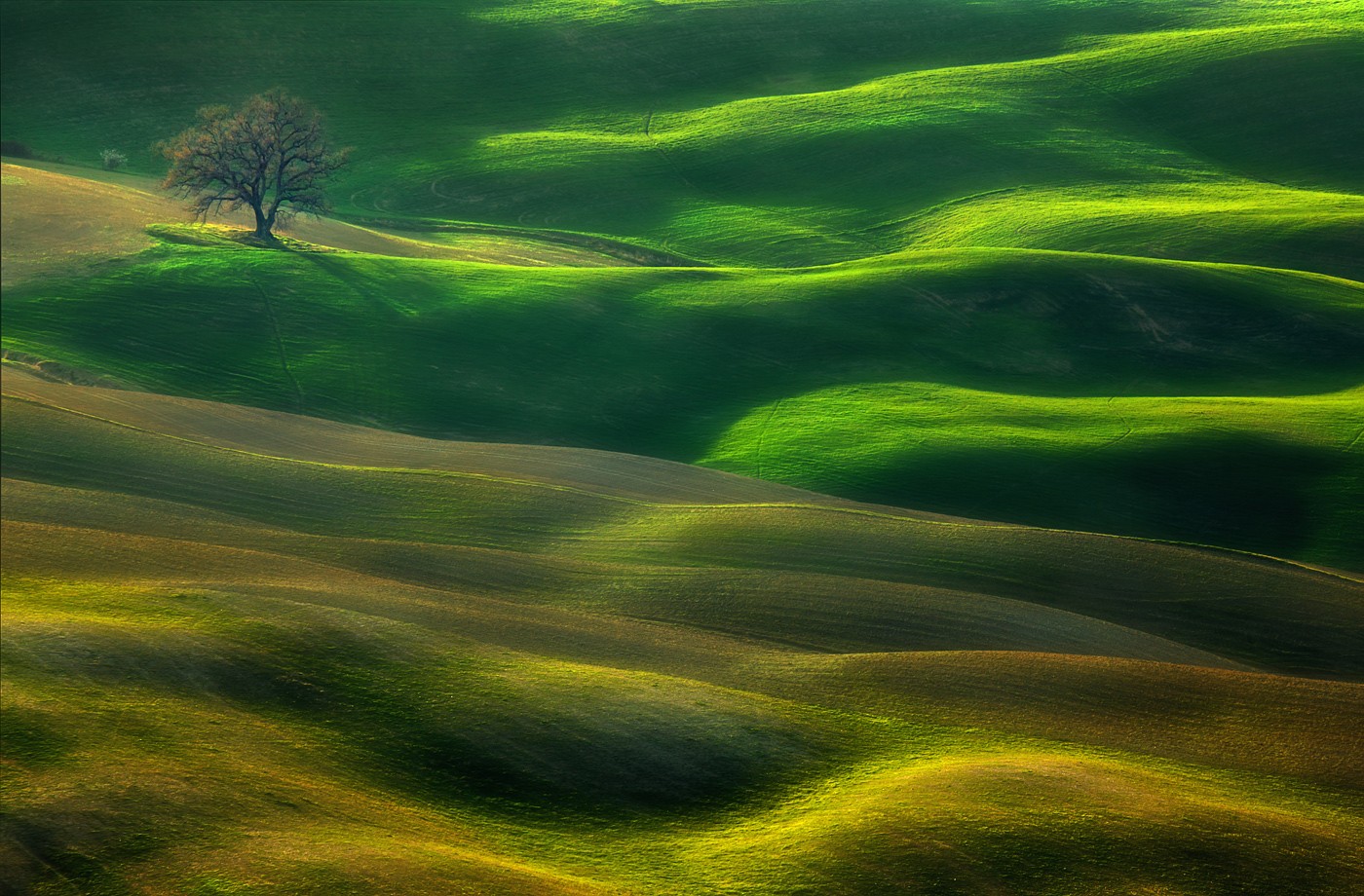 Palouse Landscape Field 1400x920