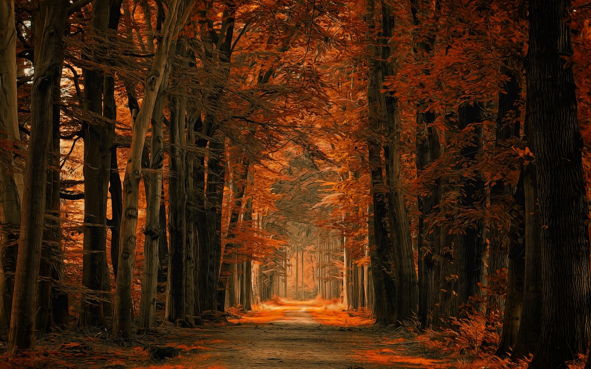 Nature Landscape Fall Dirt Road Forest Path Leaves Trees Netherlands Amber Sunlight 1920x1200
