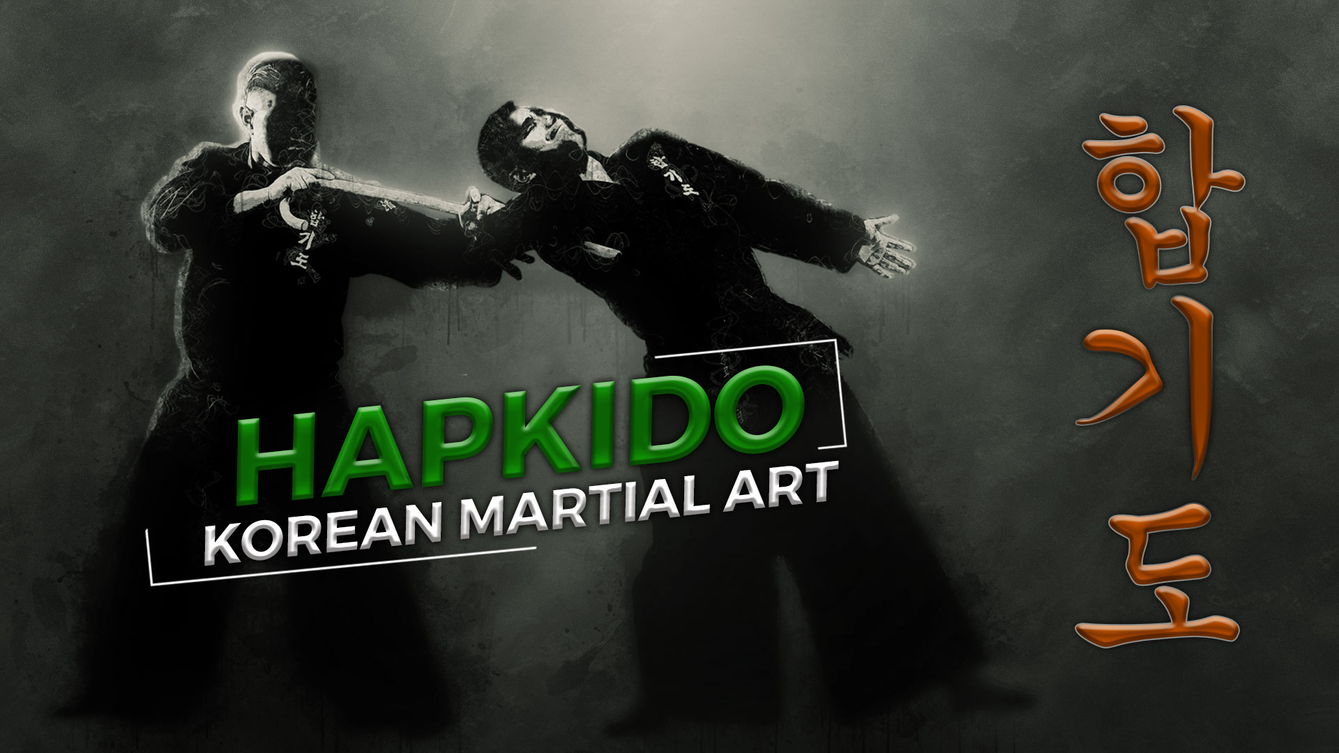 Martial Arts Hapkido Typography Fighting 1920x1080