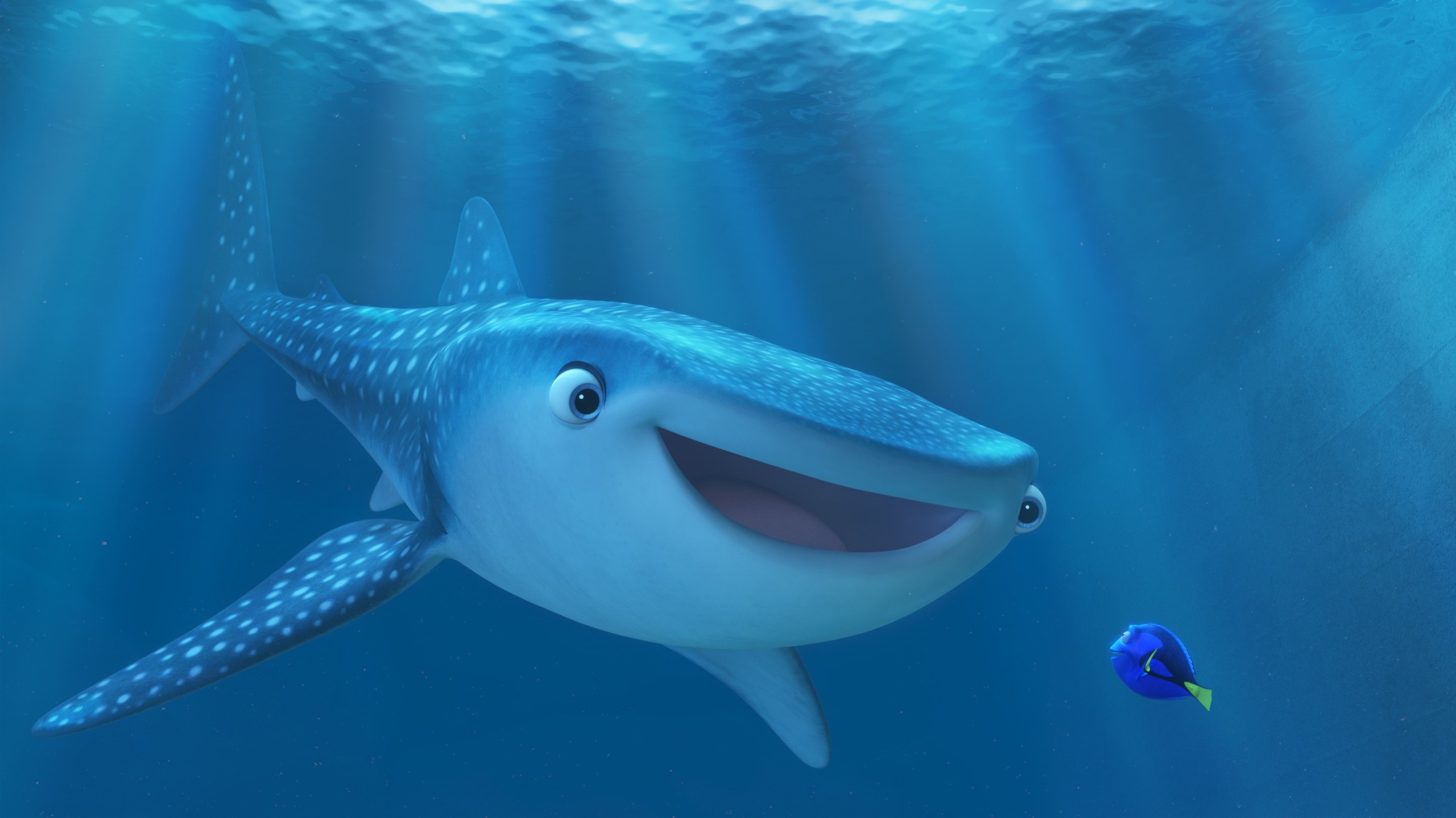 Finding Dory Pixar Animation Studios Disney Pixar Movies Animated Movies 2560x1440