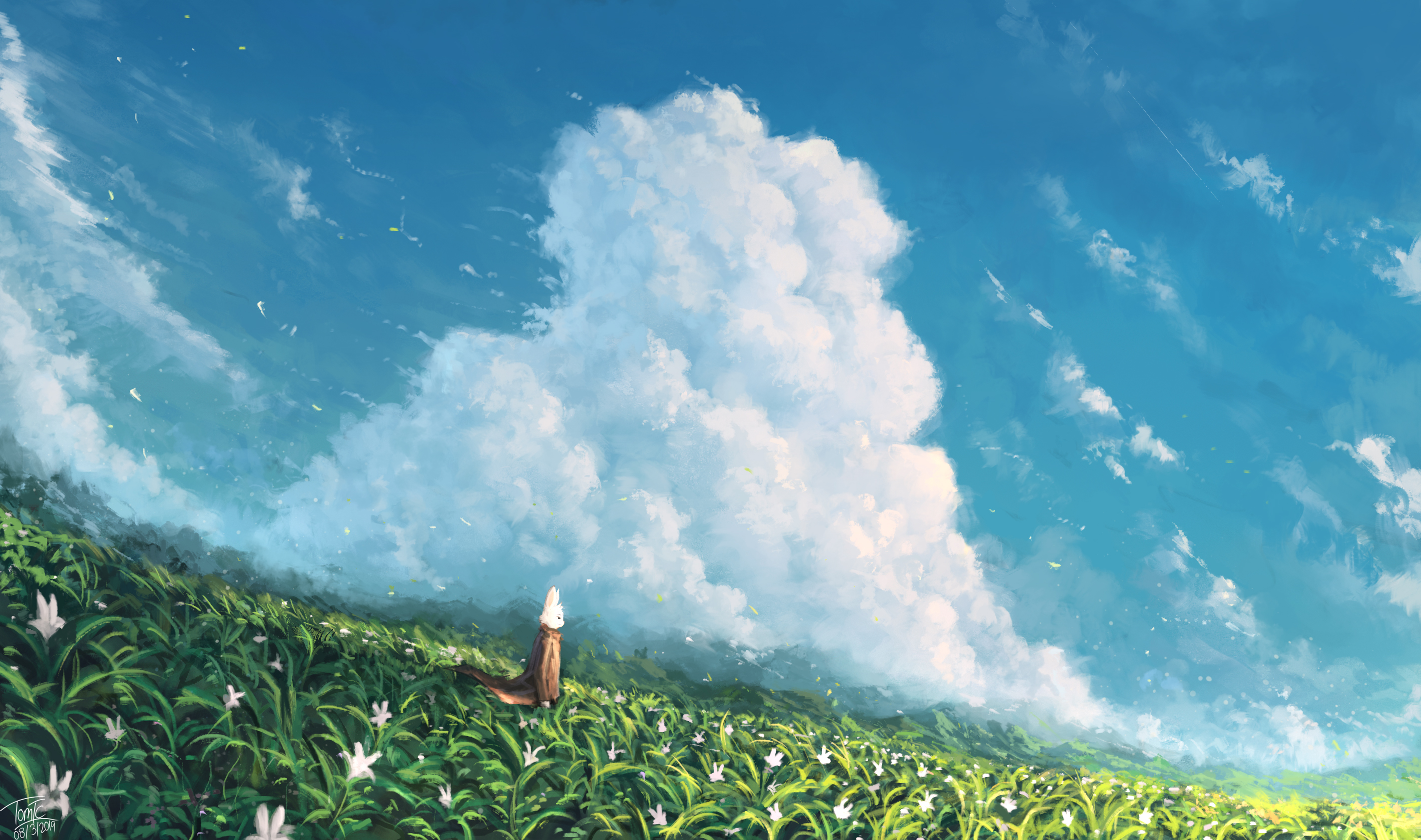 Tommy Chandra Rabbits Clouds Sky Pasture Grass Flowers Hills White Rabbit 2845x1682