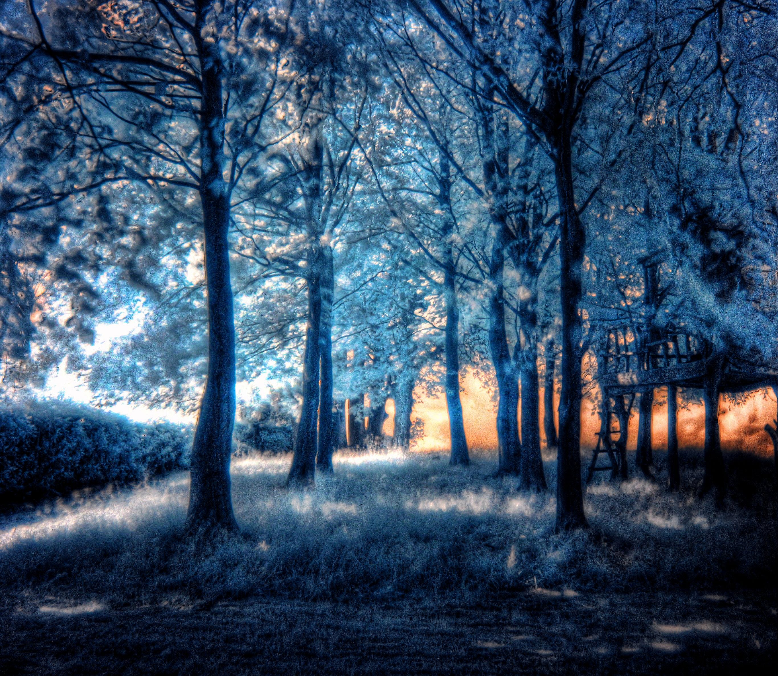 Photography Infrared 2732x2374