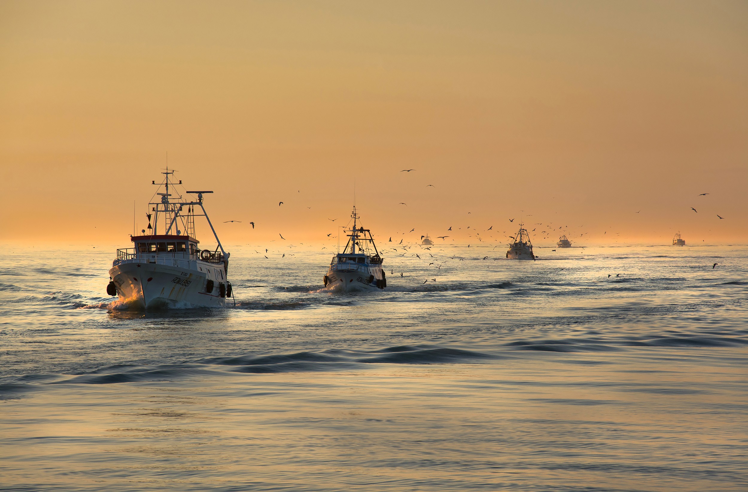 Boat Sea Vessel Fishing Birds Landscape Yellow 2500x1643