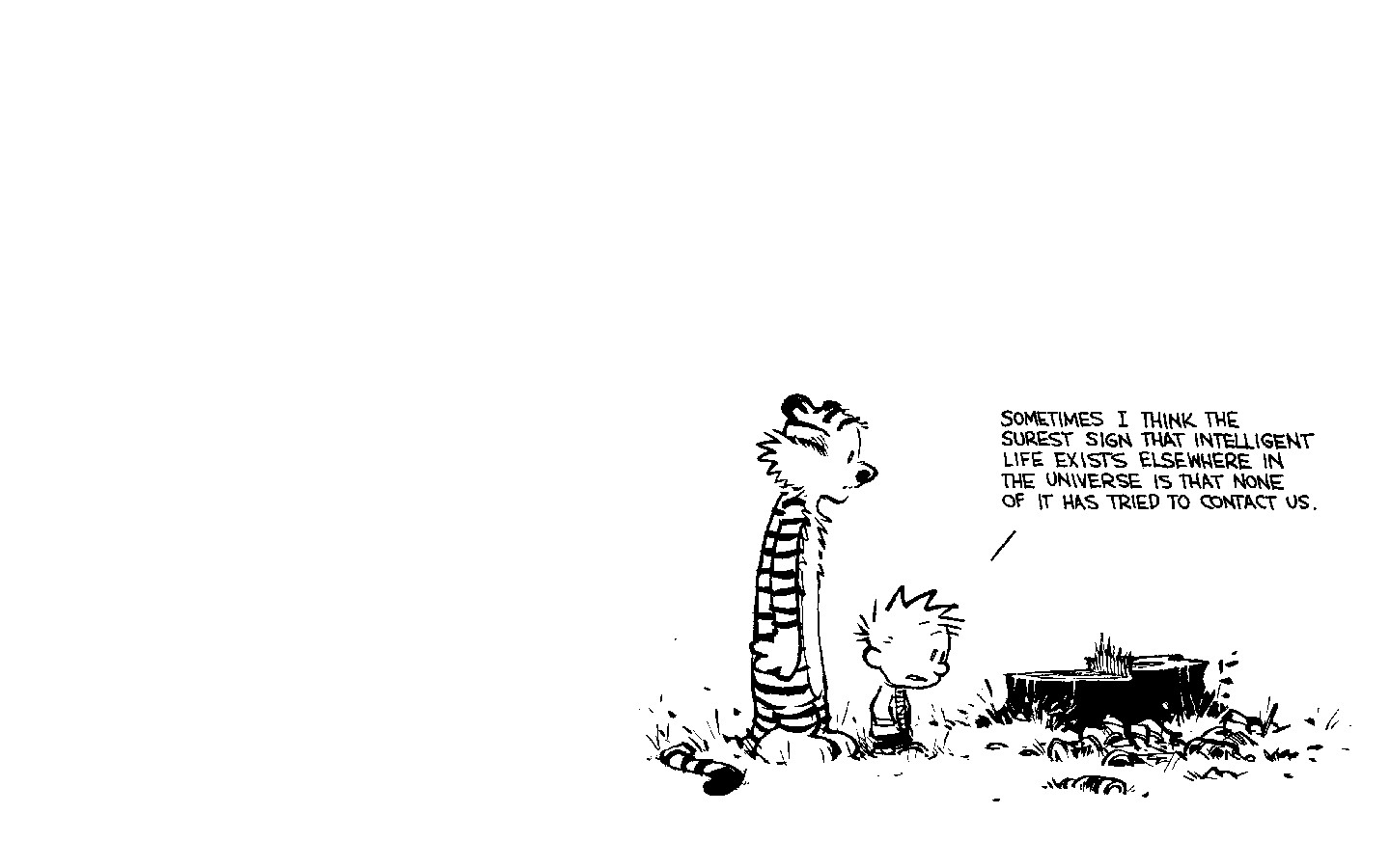 Calvin And Hobbes Simple Background Cartoon 1440x900