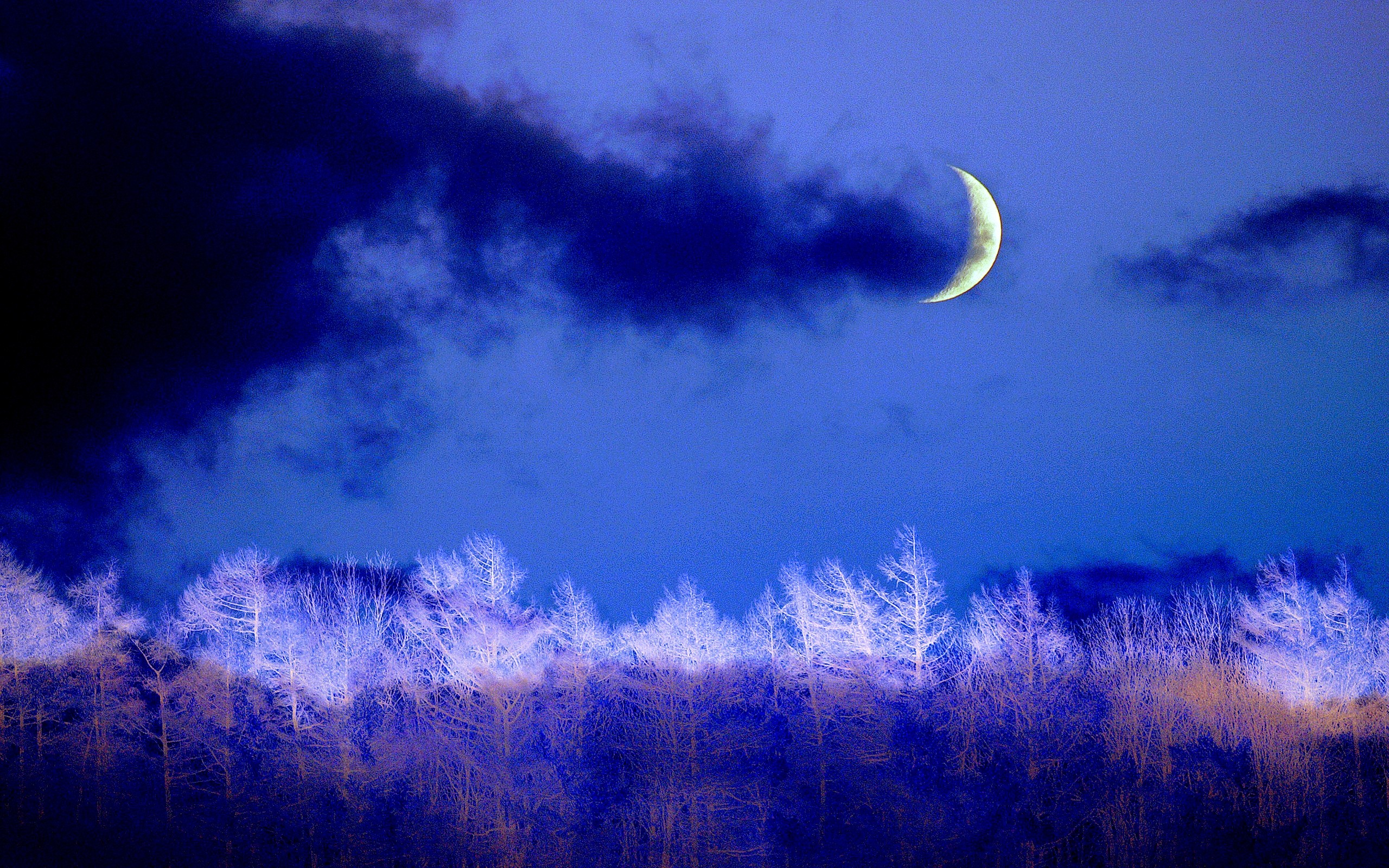 Earth Night Blue Winter Tree Moon Crescent Cloud 2560x1600