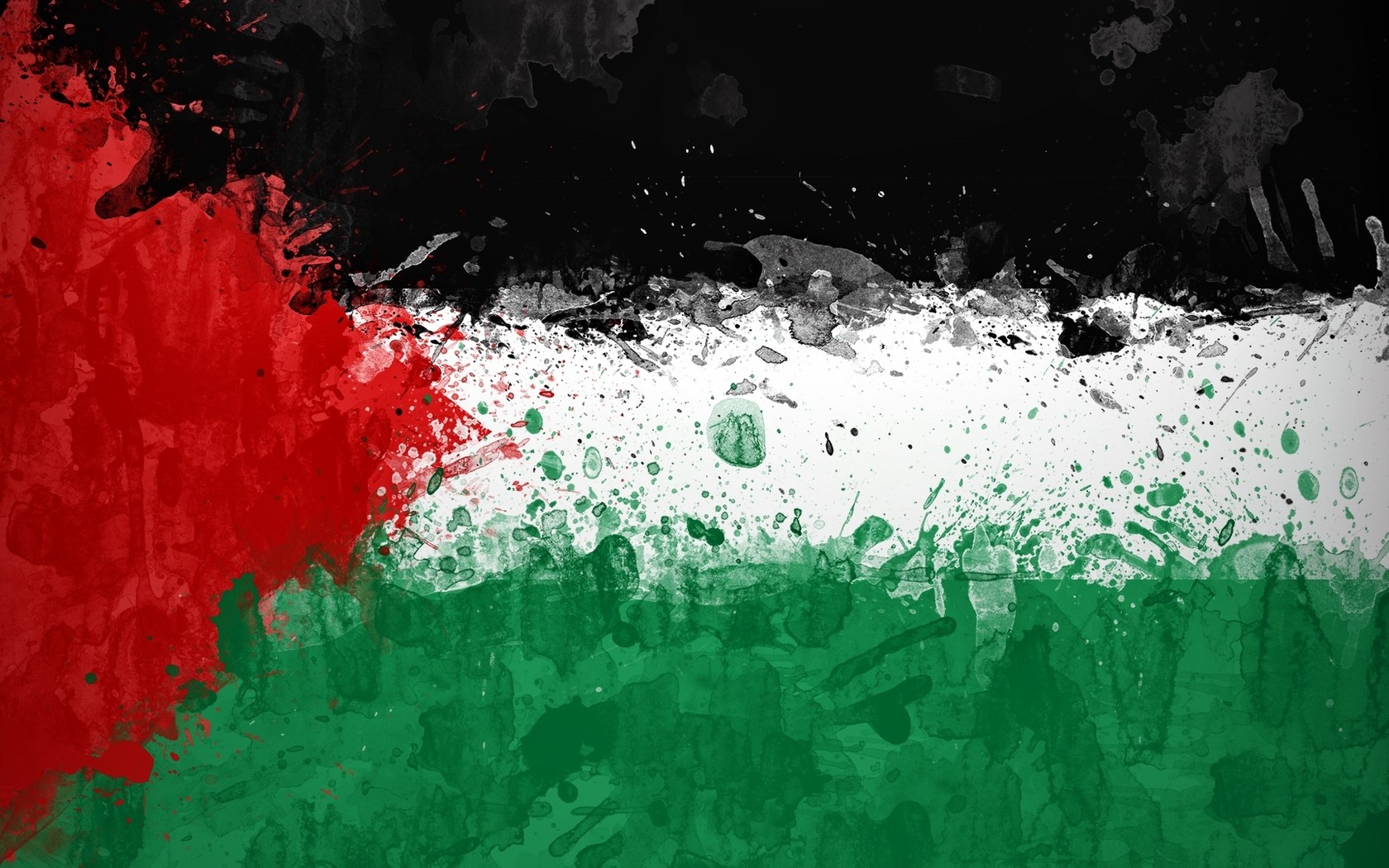 Flag Palestine Green Red White Black 1680x1050