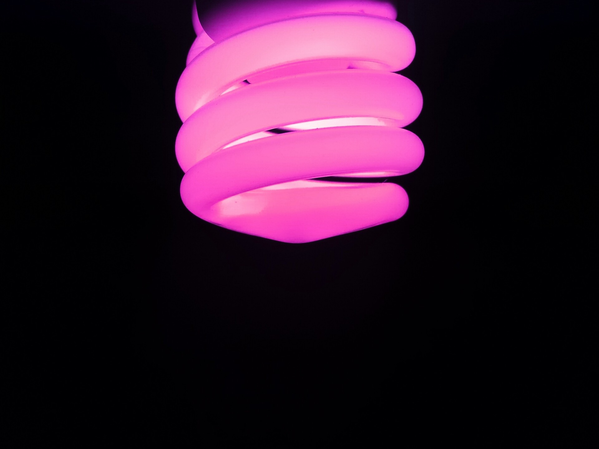 Neon Purple Pink Simple Black Background Light Bulb 1920x1440