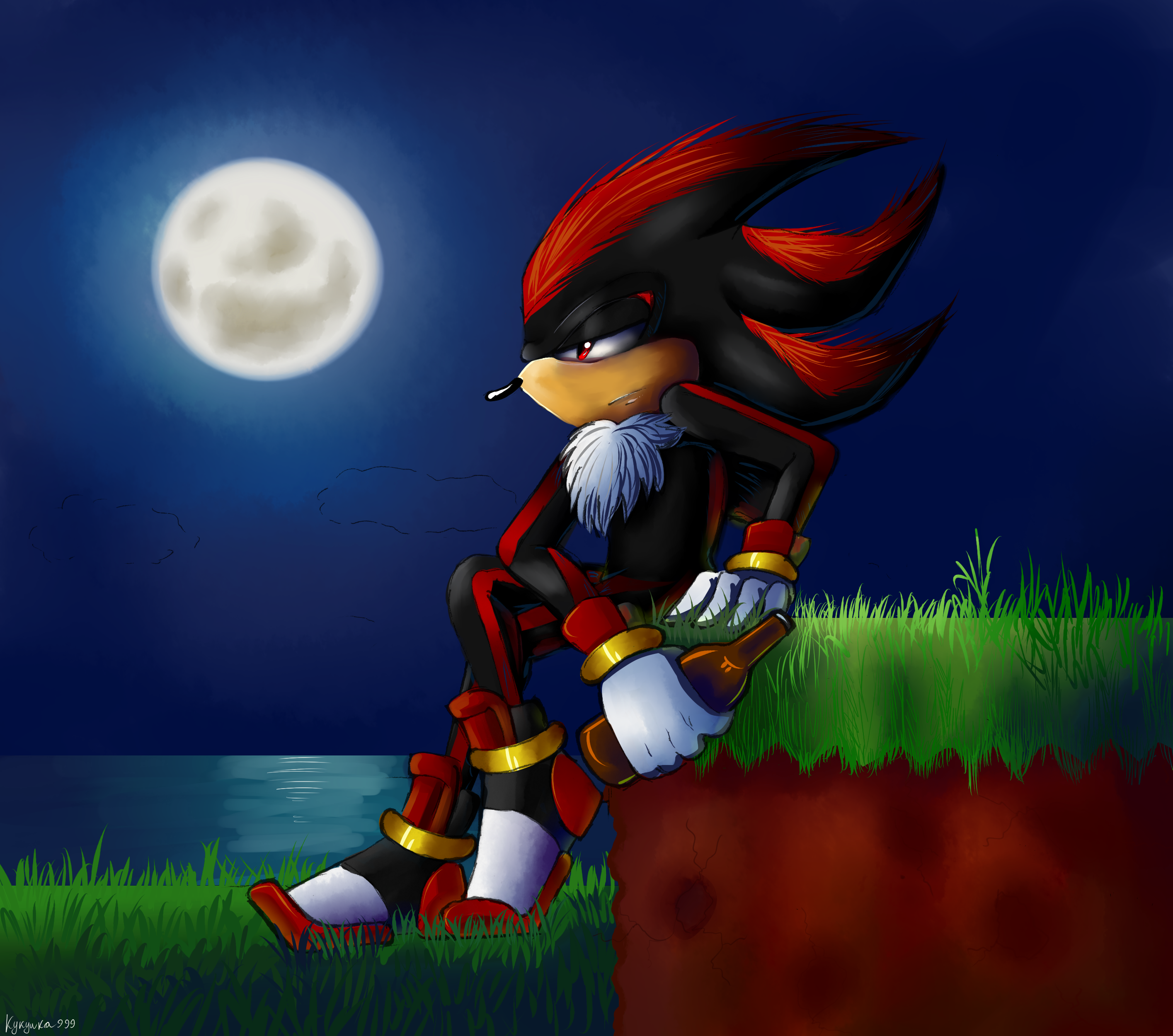 Shadow The Hedgehog 2830x2500