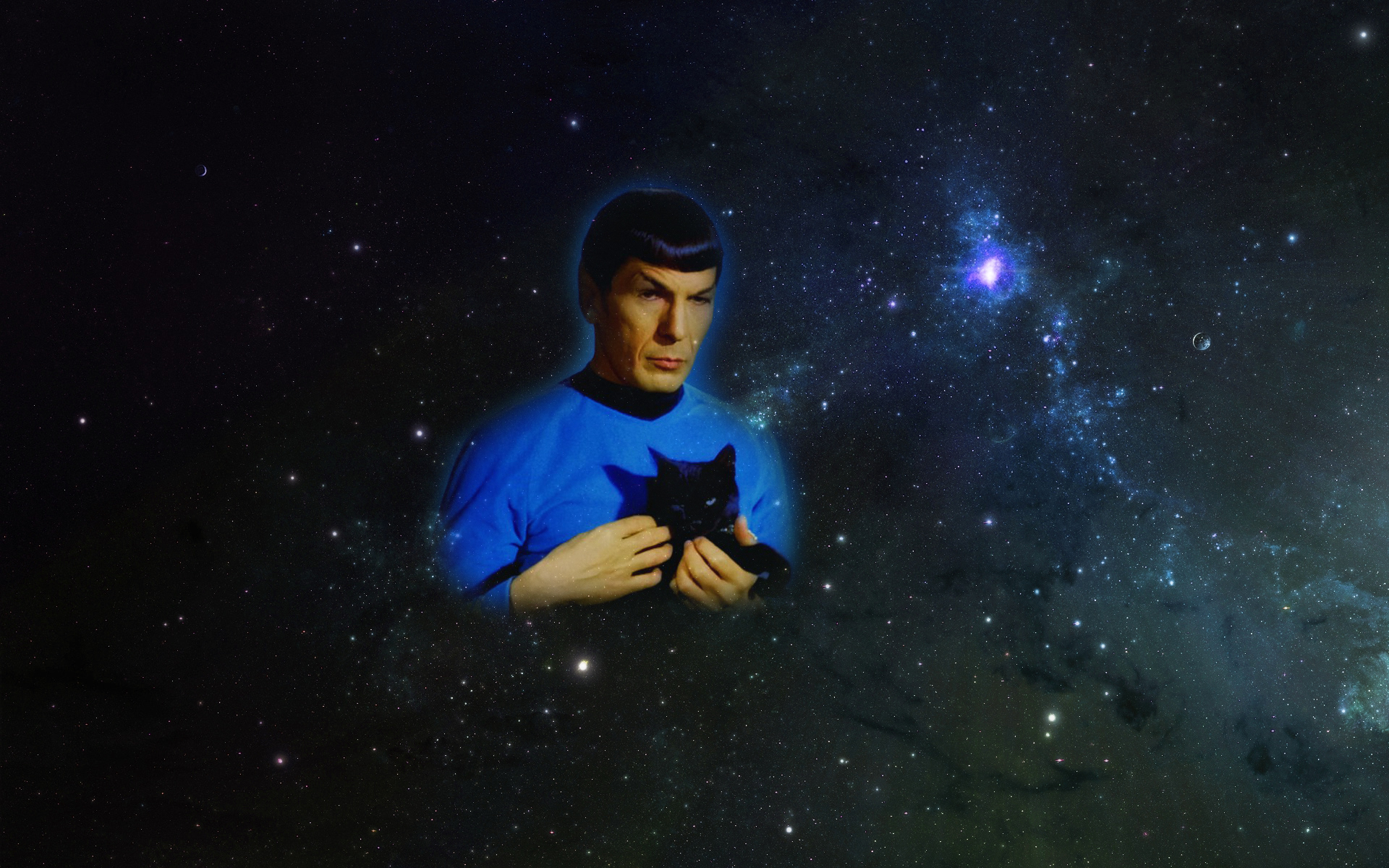 Spock Star Trek Space Cats 1920x1200