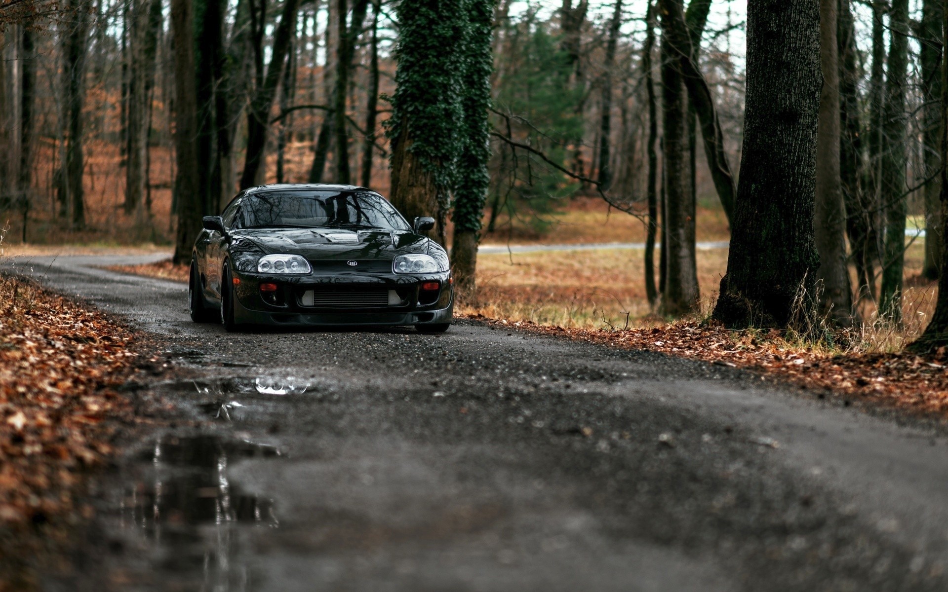Car Forest Road Toyota Supra Tuning Dirt Road JDM Wet Road 1920x1200