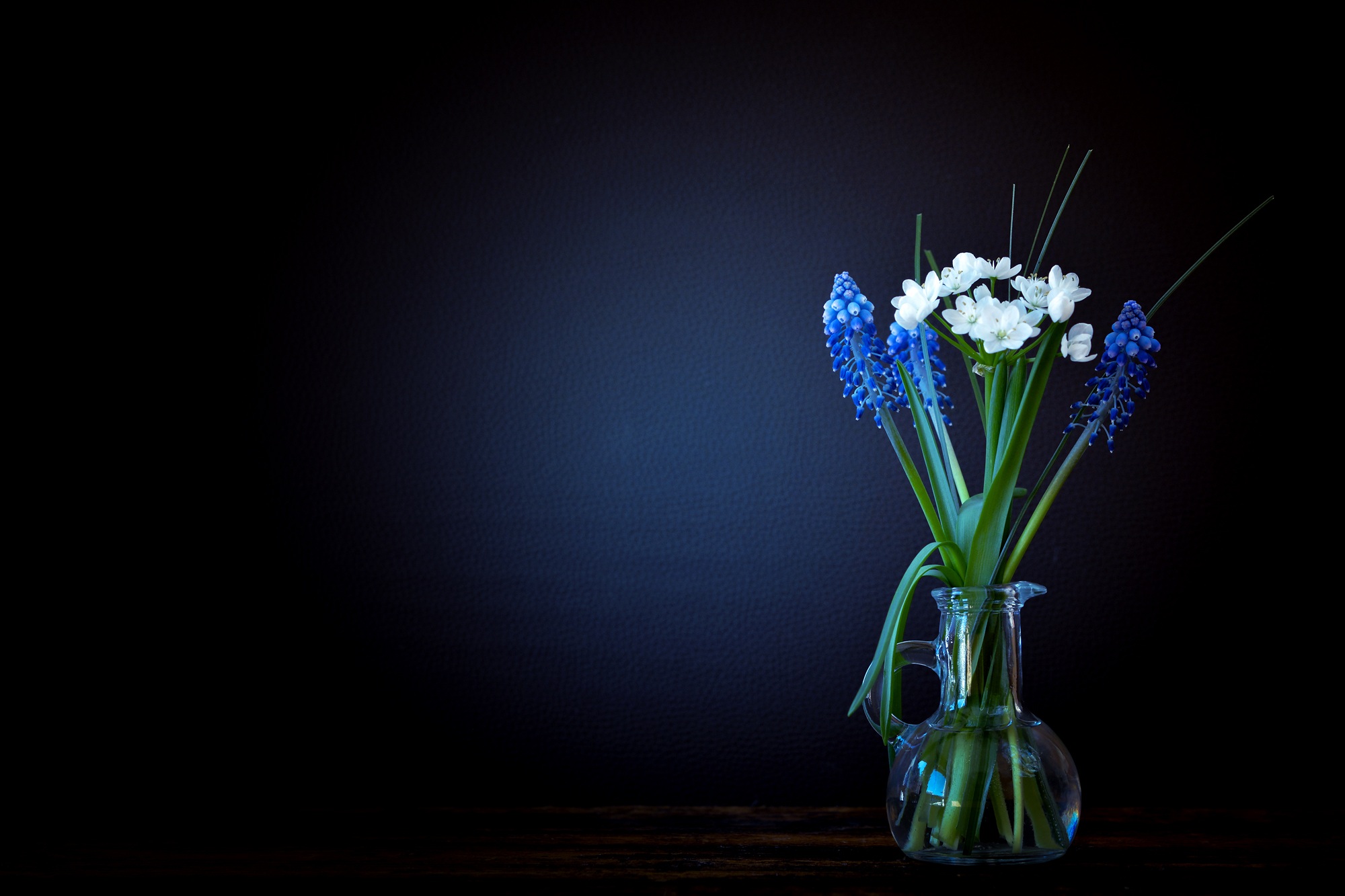 Flower Blue Light Hyacinth Vase Glass Still Life 2000x1333