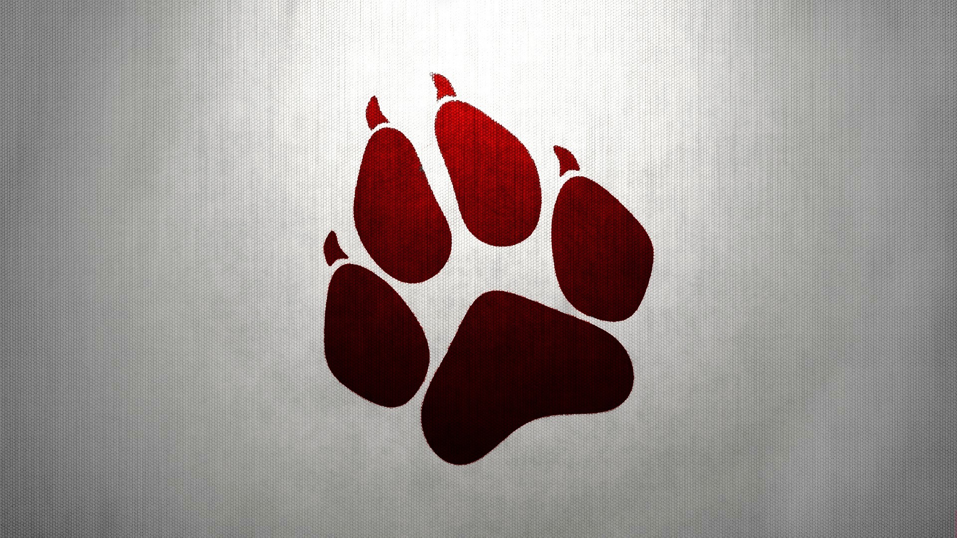 Paws Simple Background Texture 1920x1080