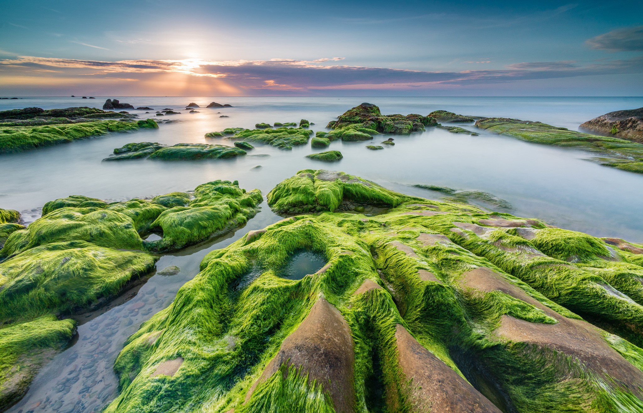Sea Nature Landscape Rocks Seaweed Coast Beach 2047x1315