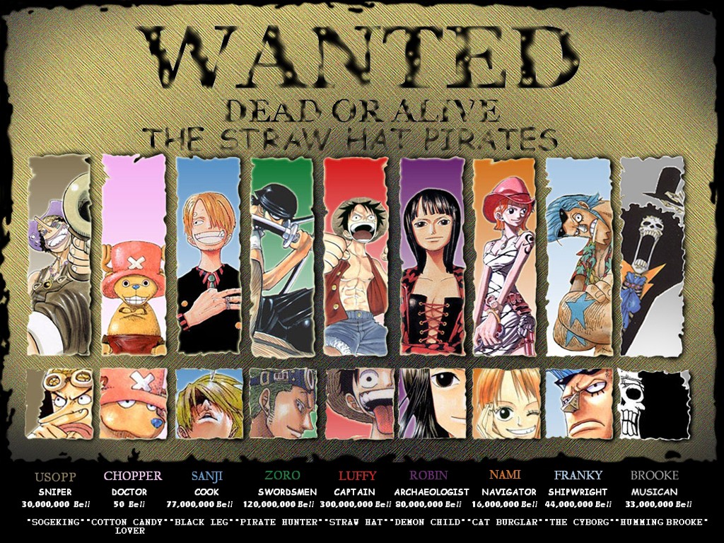 Monkey D Luffy Usopp Tony Tony Chopper Sanji Roronoa Zoro Nico Robin Nami Brook Franky 1024x768